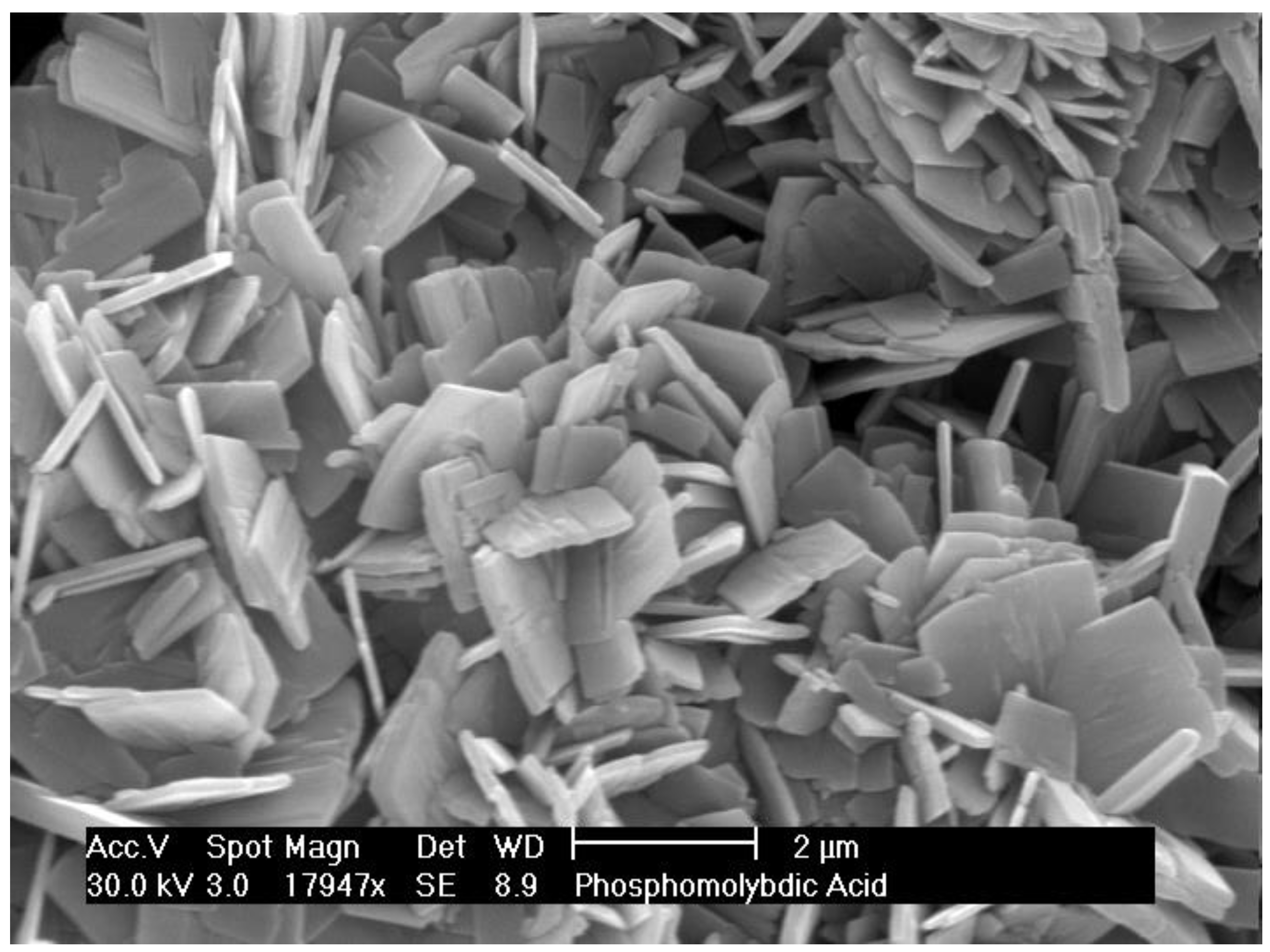 Biomolecules 08 00062 g002