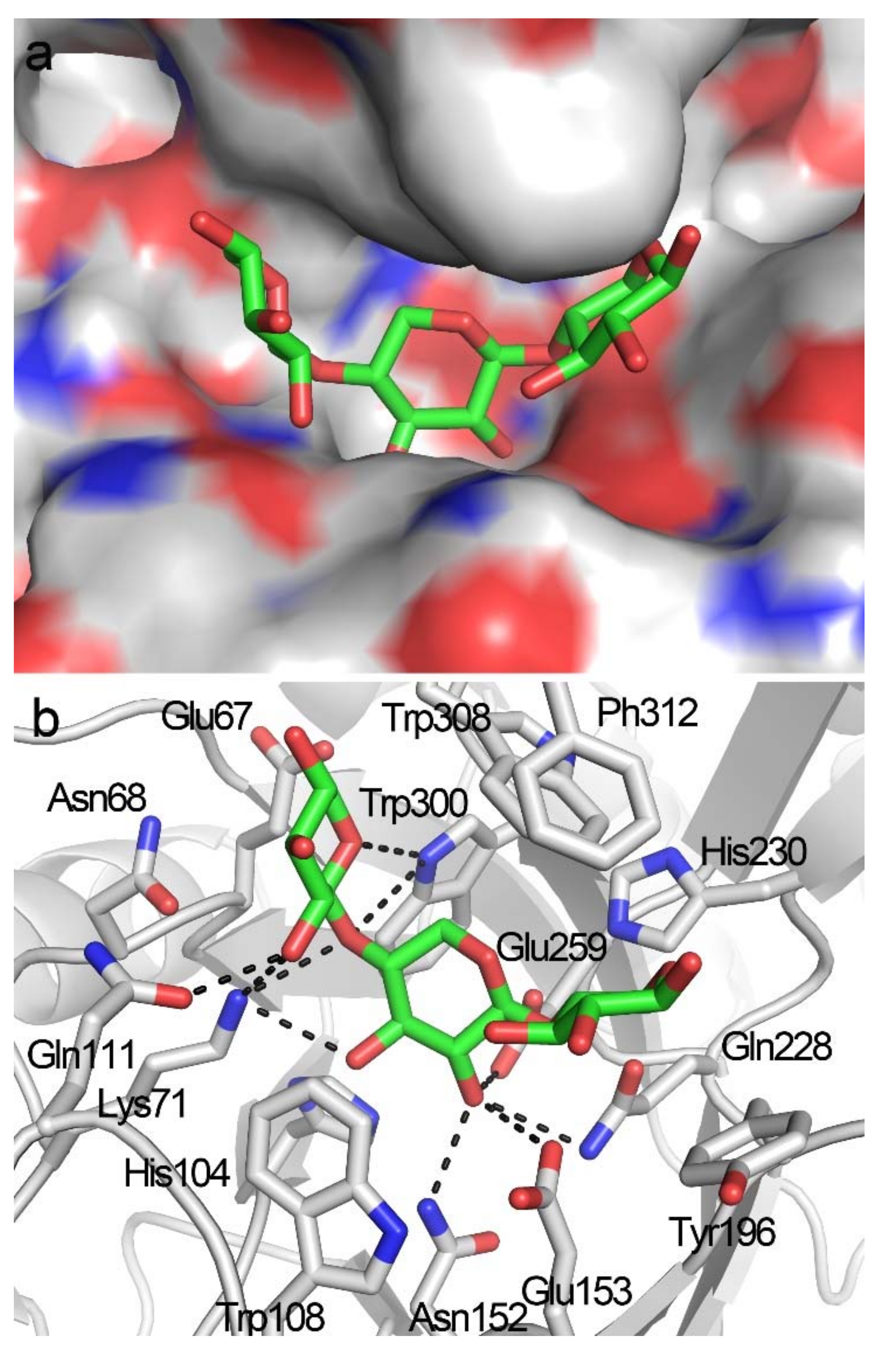 Biomolecules 08 00064 g004