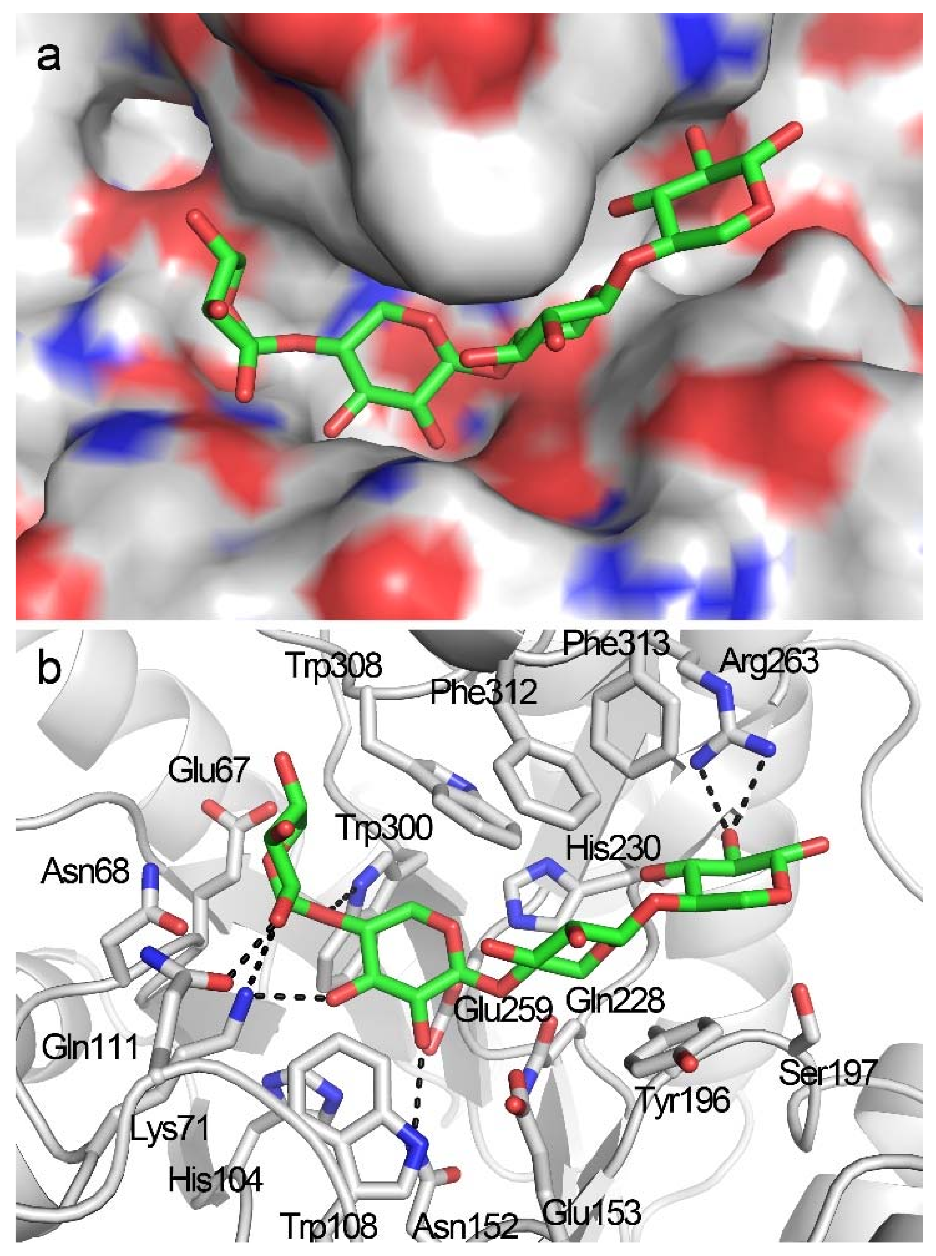 Biomolecules 08 00064 g005