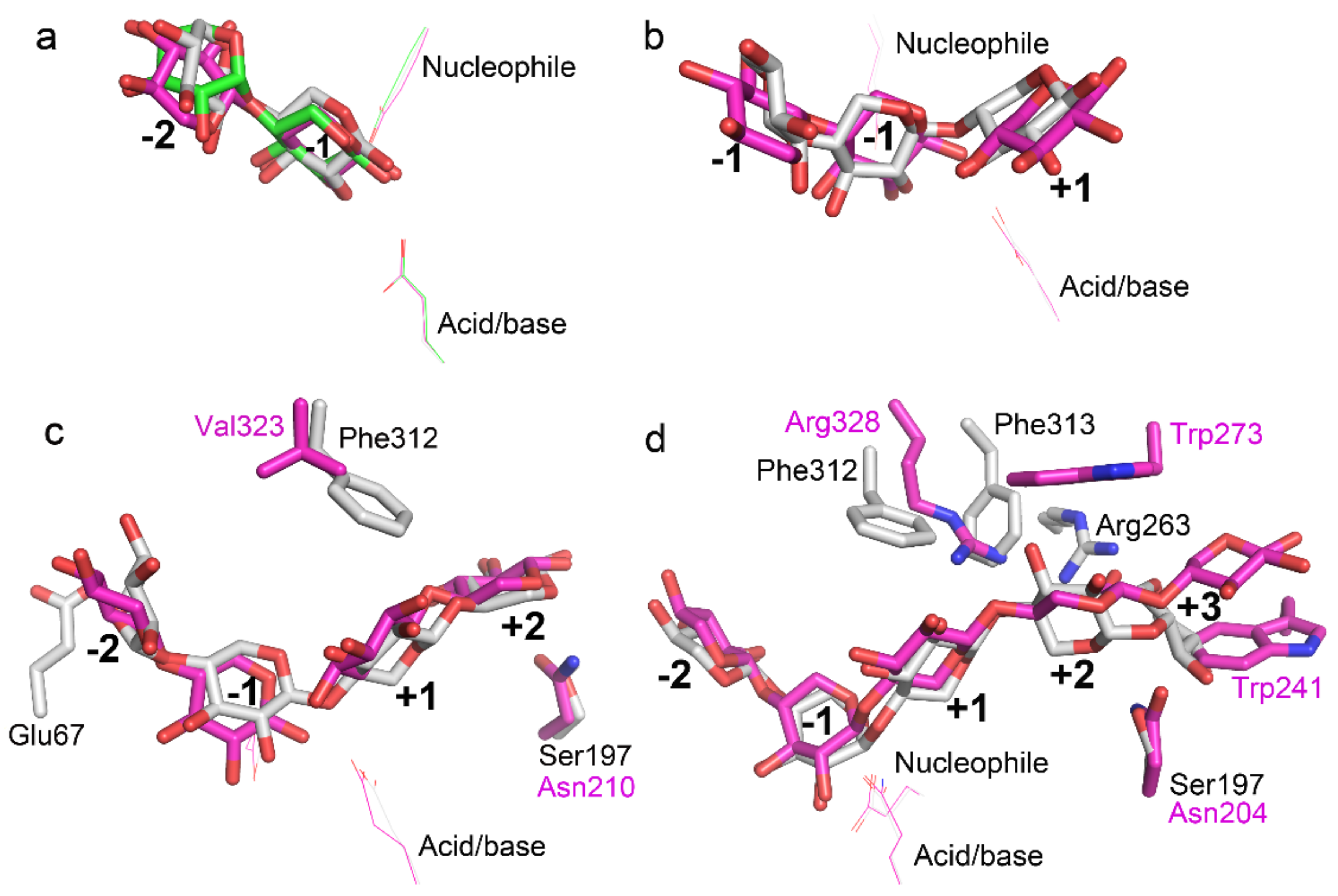 Biomolecules 08 00064 g007