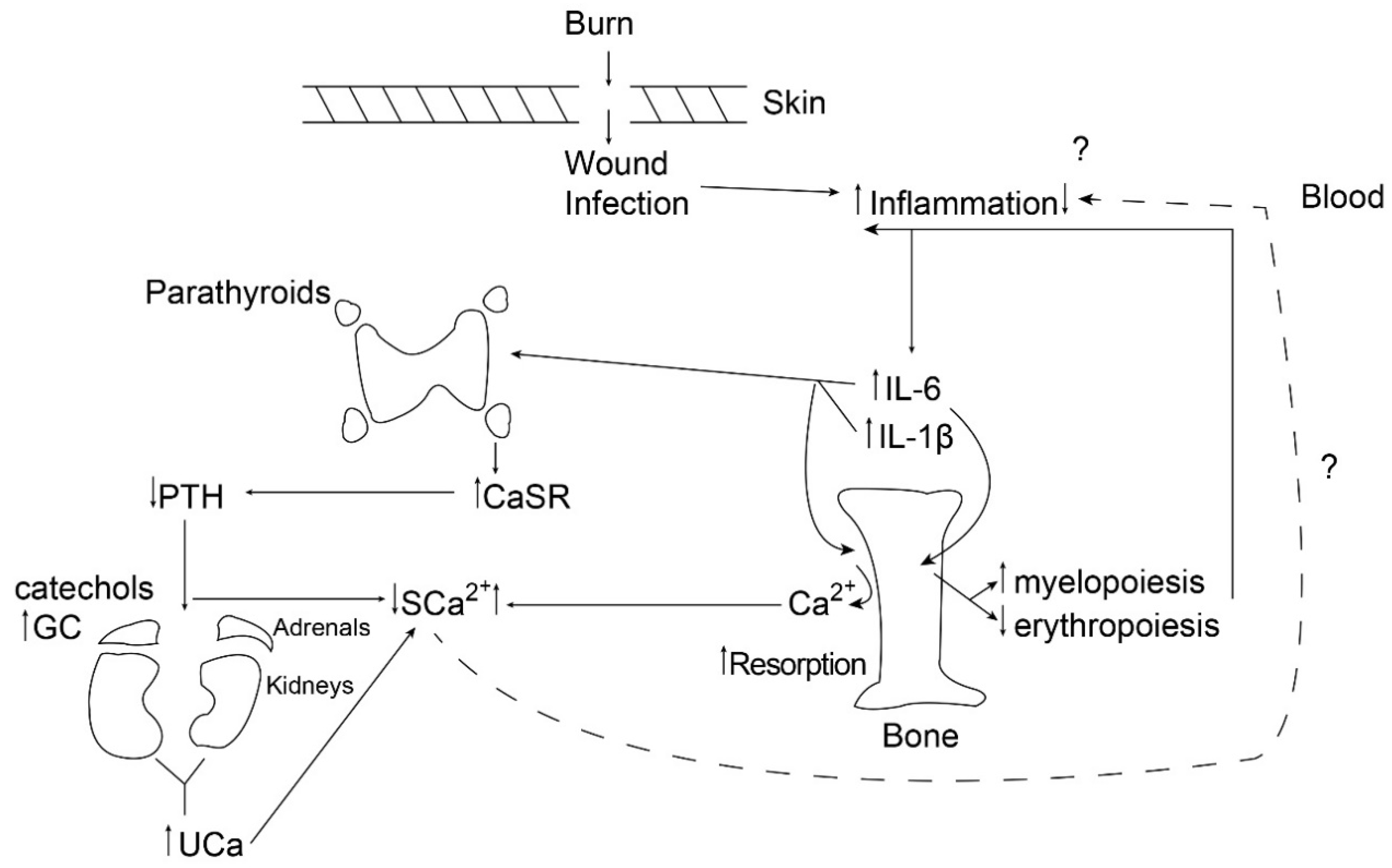 Biomolecules 08 00069 g001