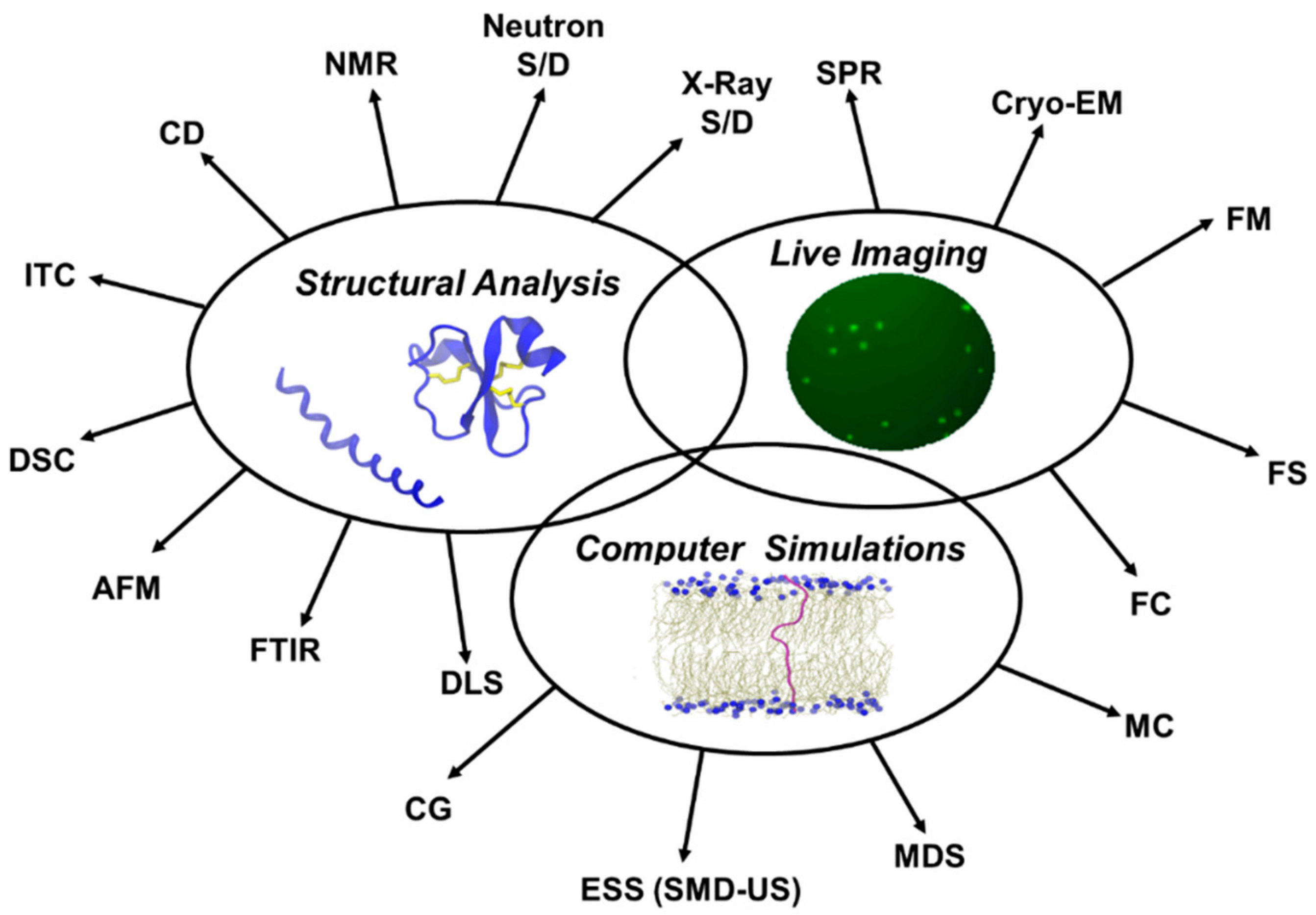 Biomolecules 08 00077 g005