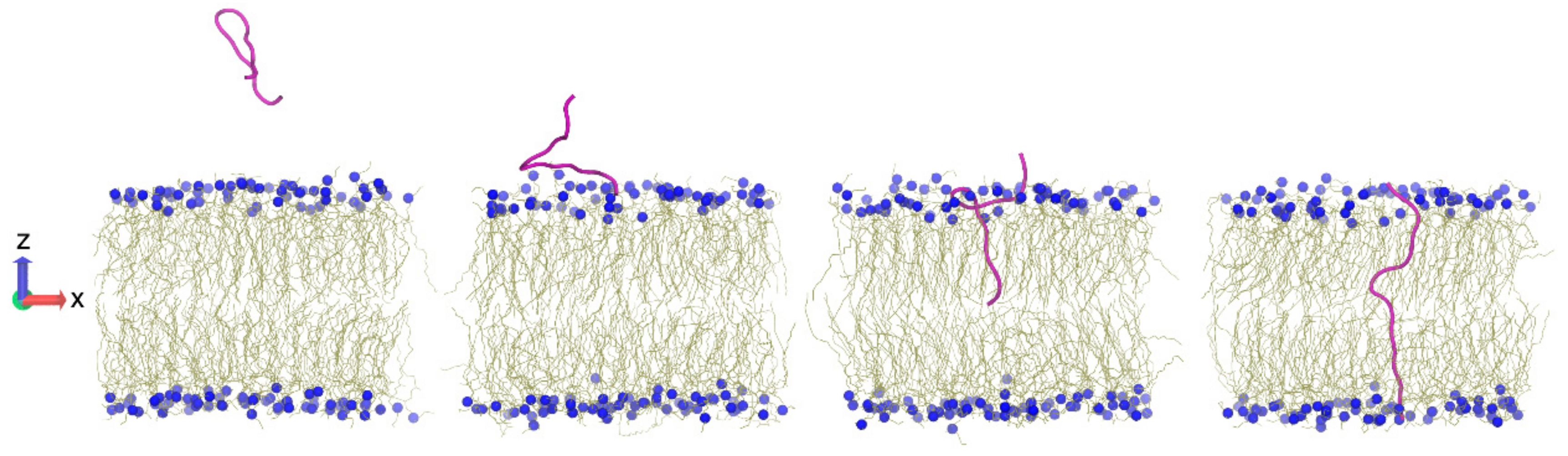 Biomolecules 08 00077 g008