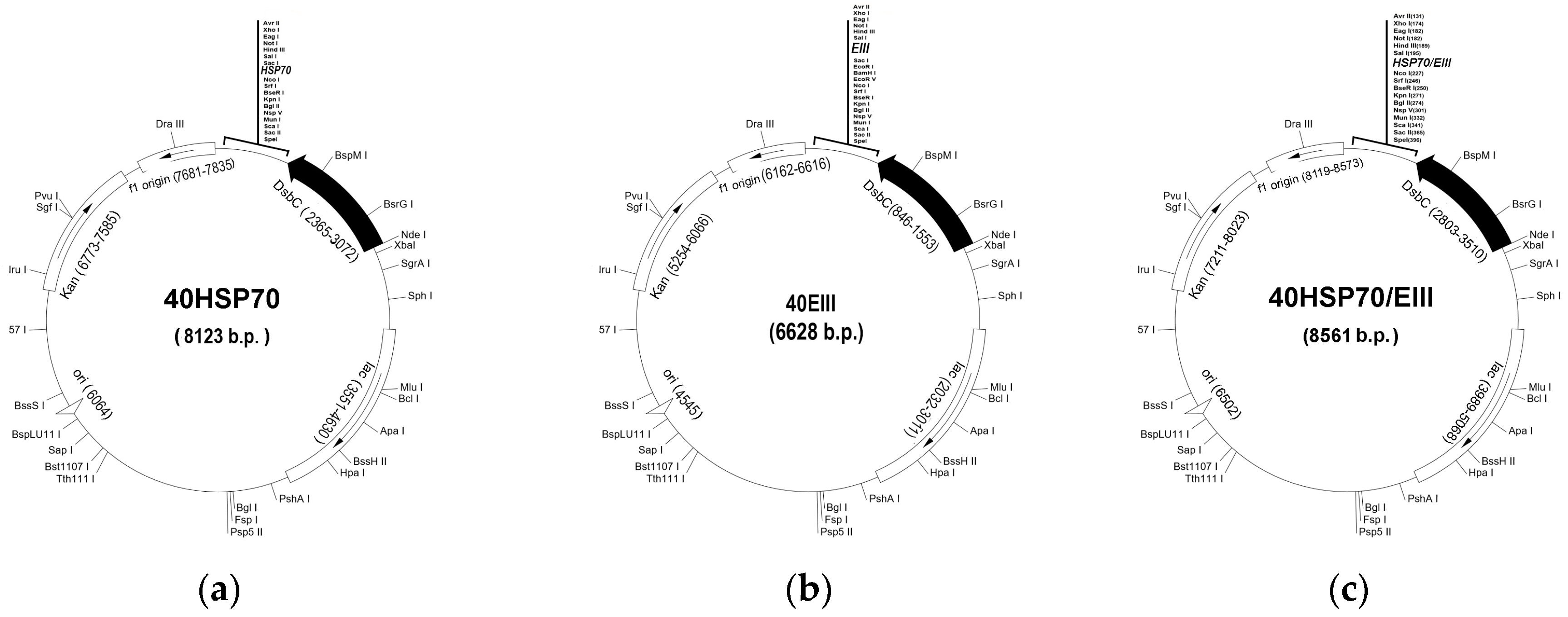 Biomolecules 08 00082 g001