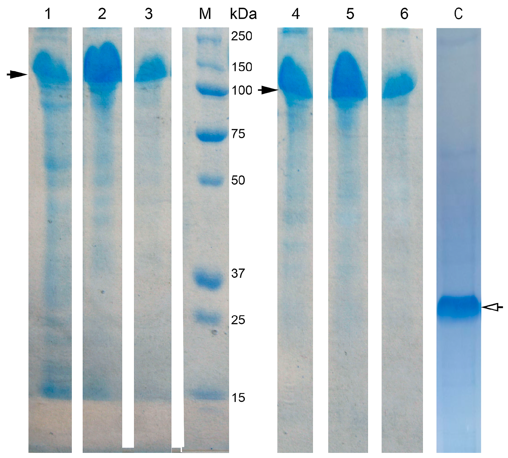 Biomolecules 08 00082 g002