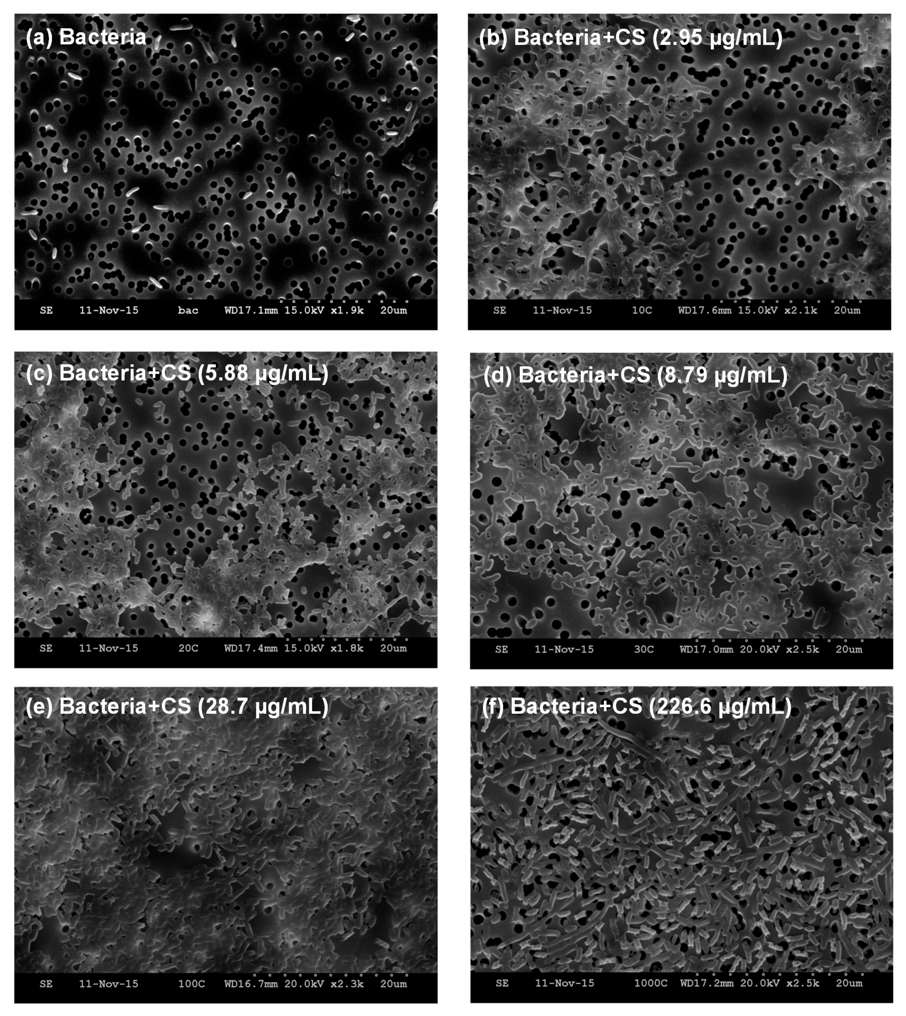 Biomolecules 08 00087 g003 Biomolecules 08 00087 g003