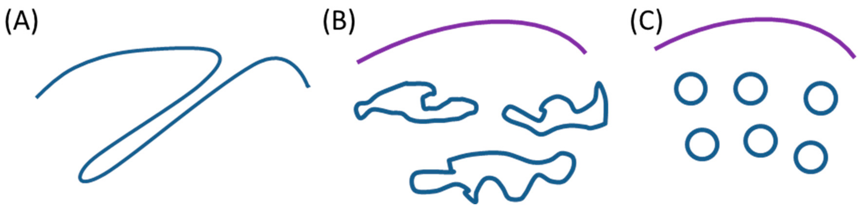Biomolecules 08 00088 g001 Biomolecules 08 00088 g001