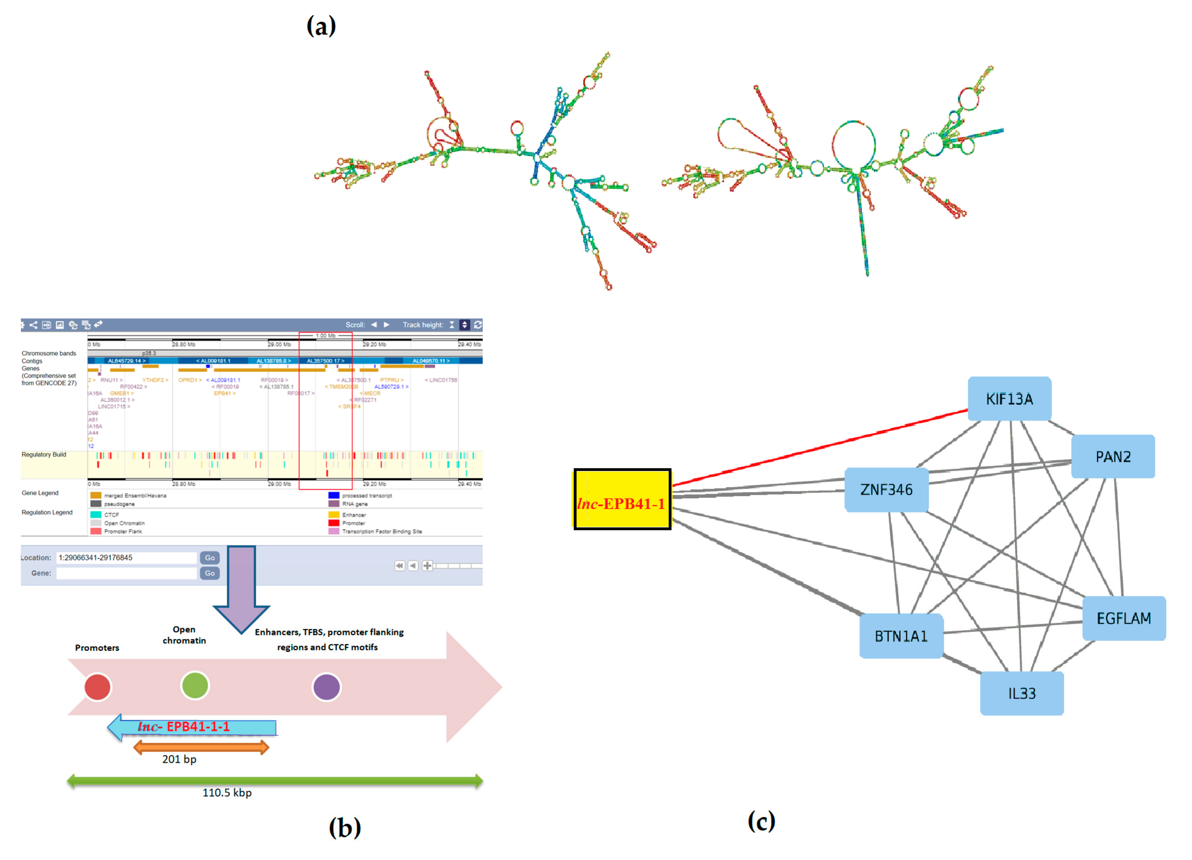 Biomolecules 08 00095 g001
