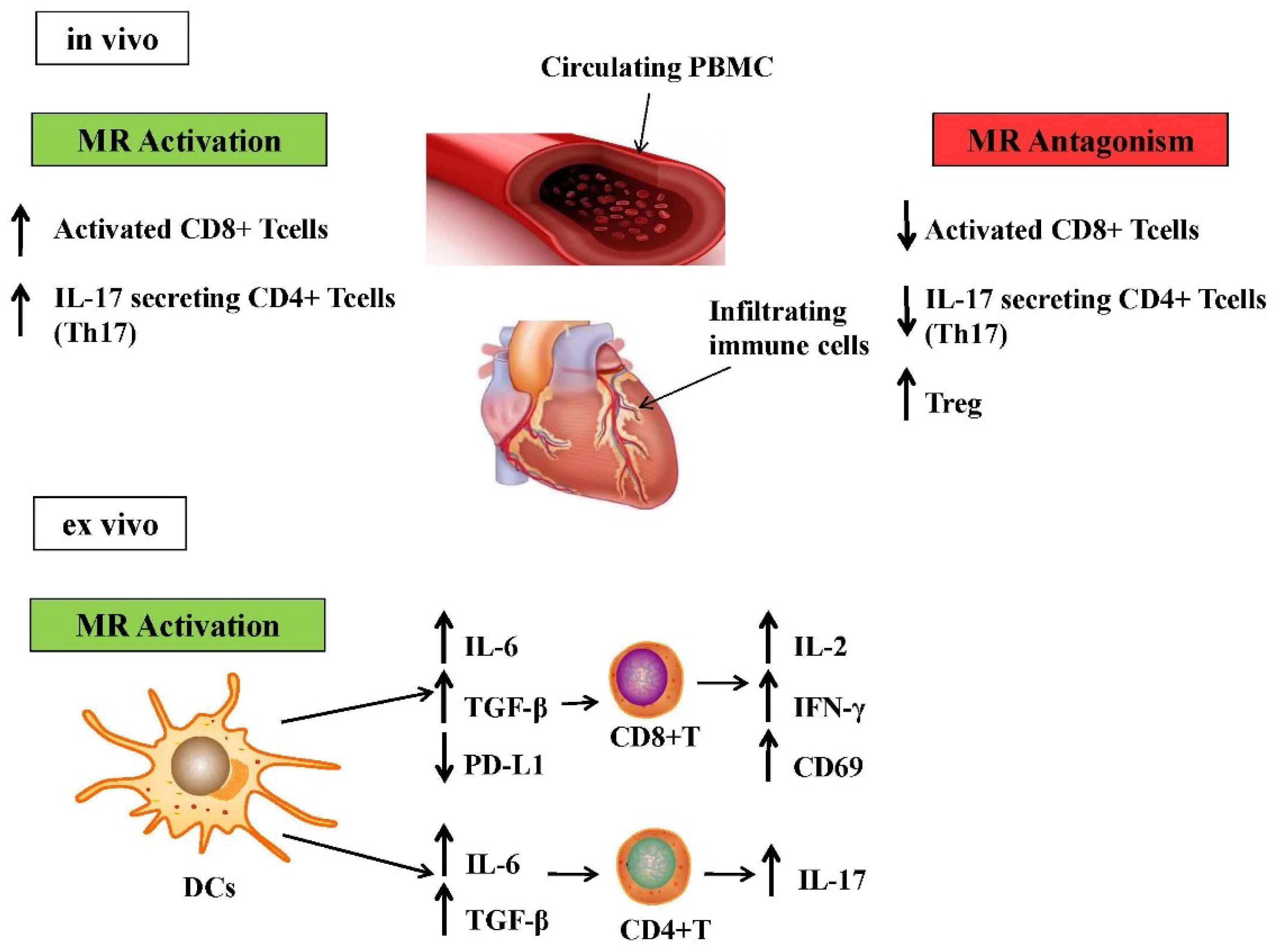 Biomolecules 08 00096 g001
