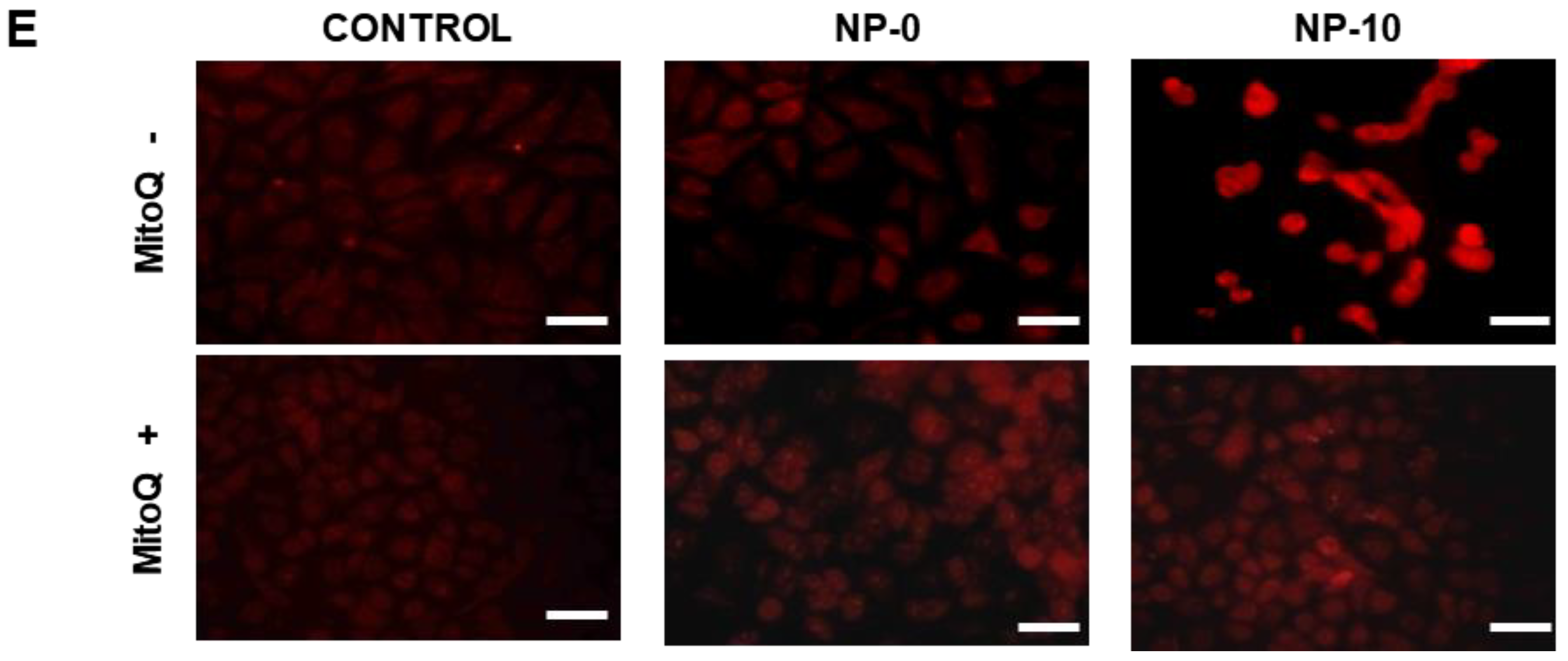 Biomolecules 08 00097 g002b