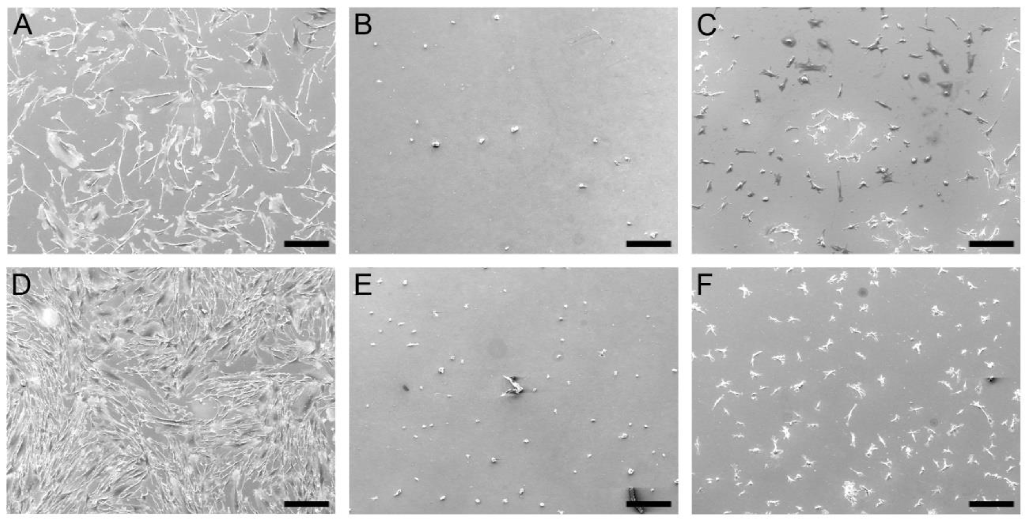 Biomolecules 08 00103 g010