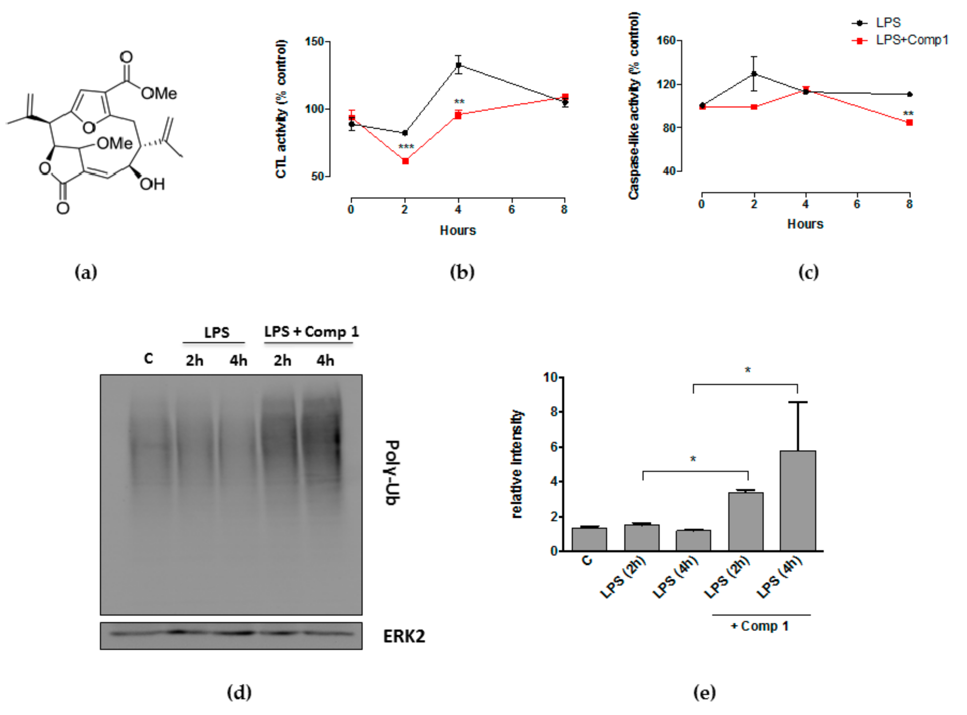 Biomolecules 08 00109 g001 Biomolecules 08 00109 g001