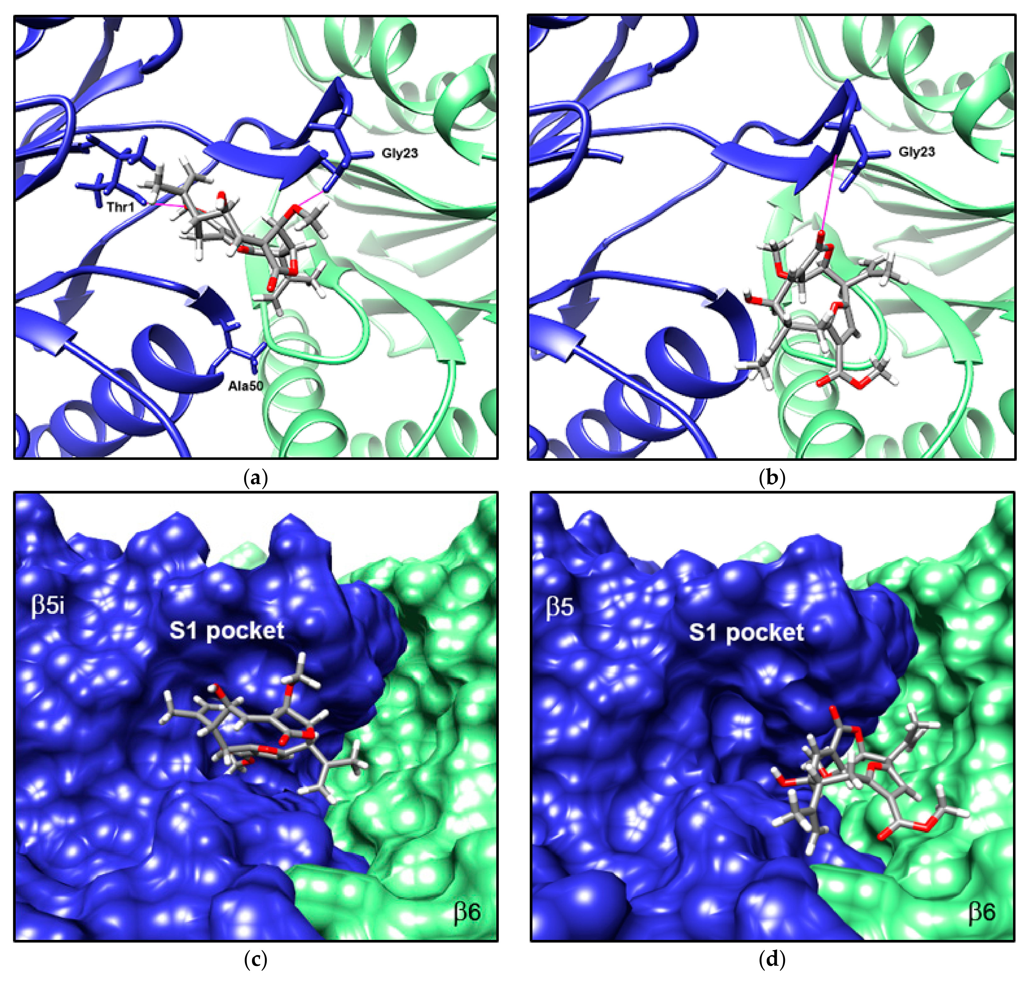 Biomolecules 08 00109 g006 Biomolecules 08 00109 g006