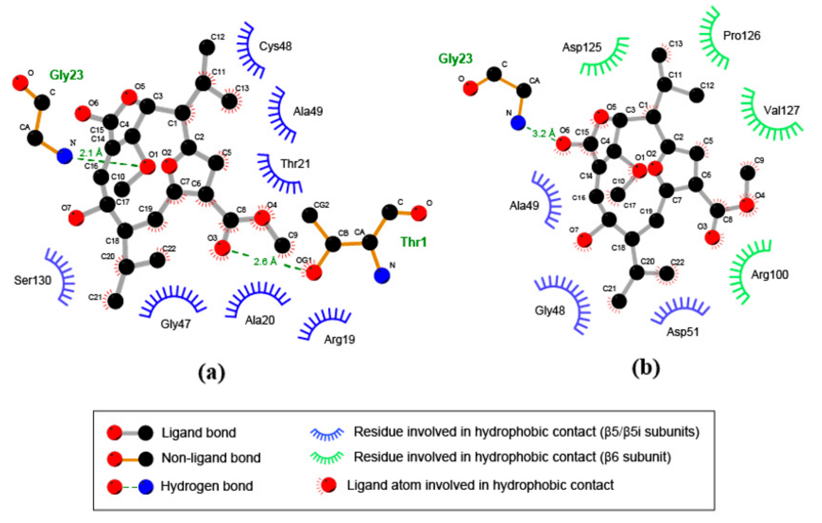 Biomolecules 08 00109 g007 Biomolecules 08 00109 g007