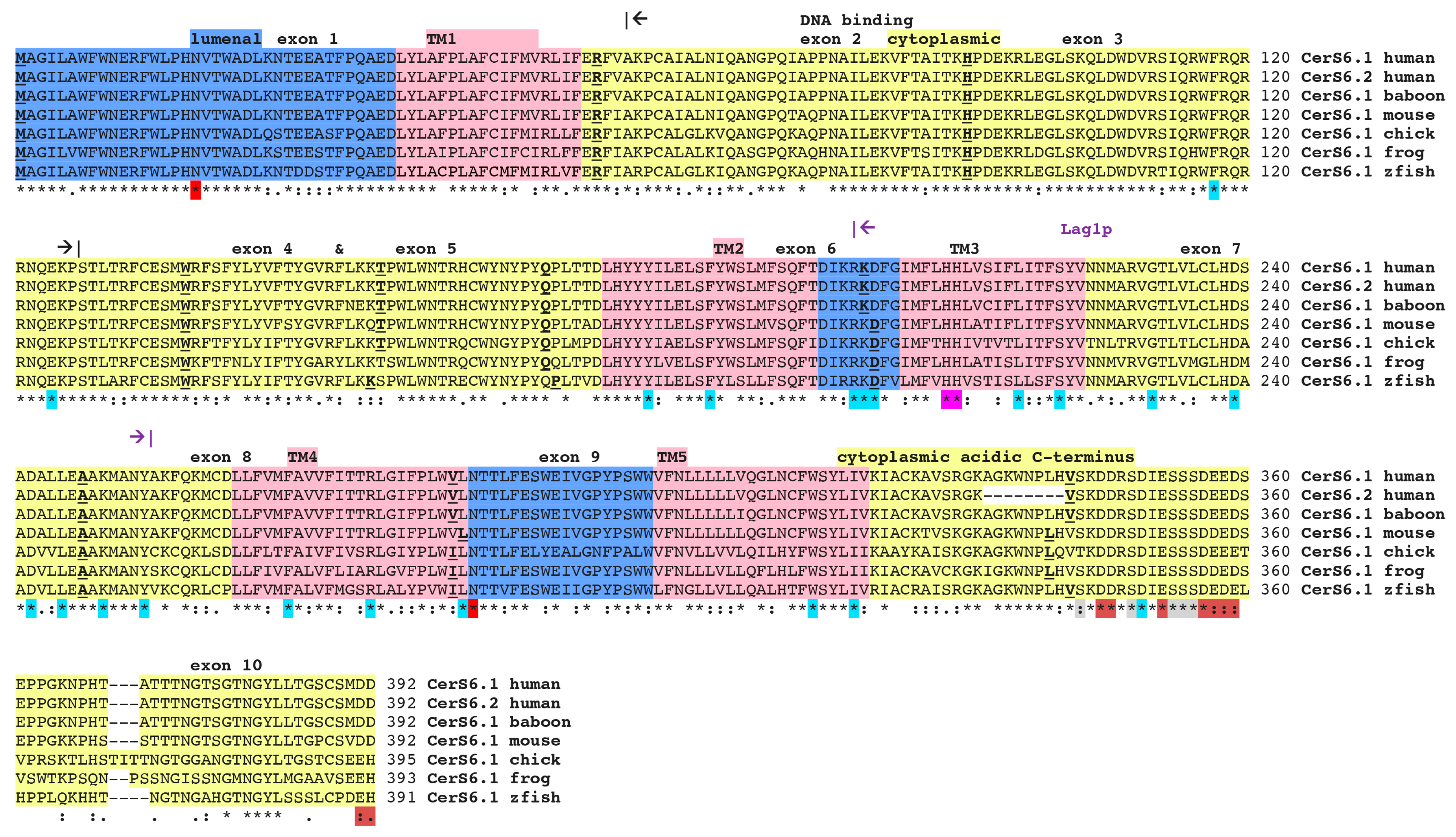 Biomolecules 08 00111 g001