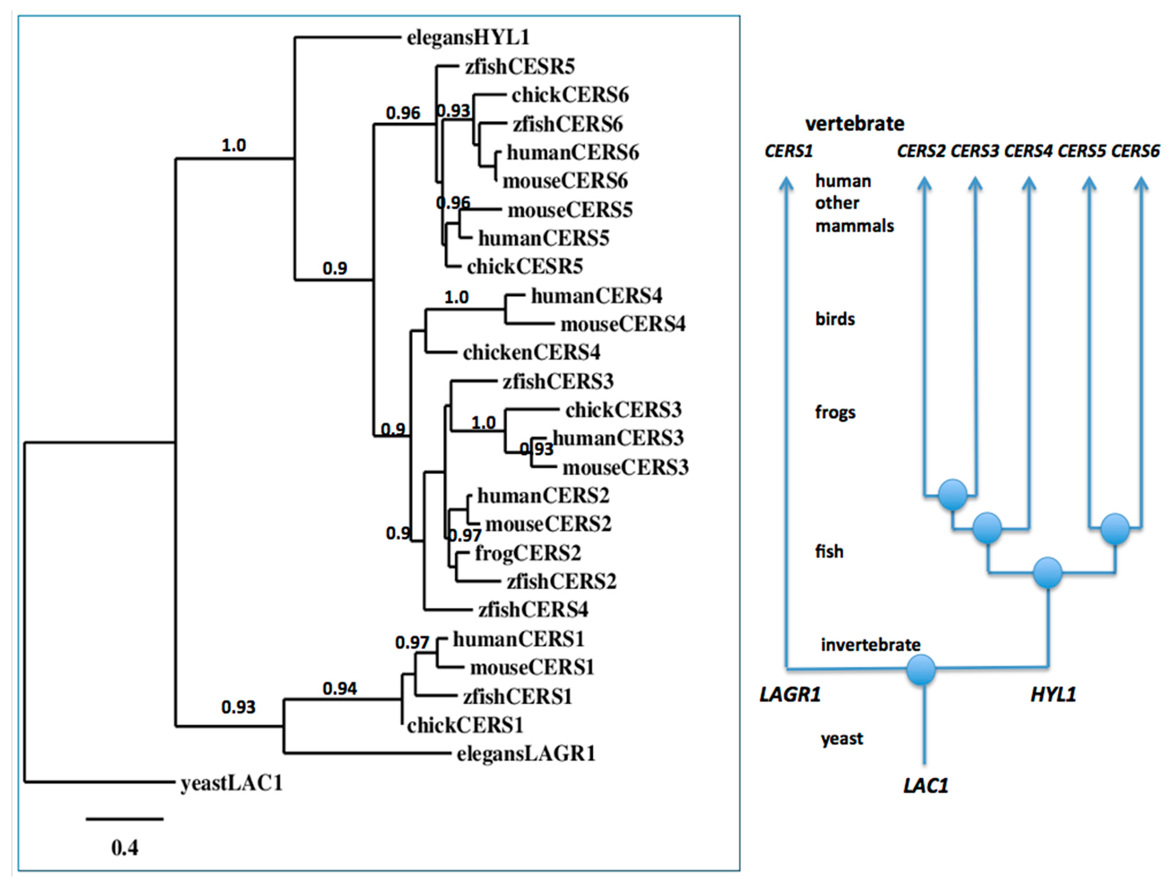 Biomolecules 08 00111 g006