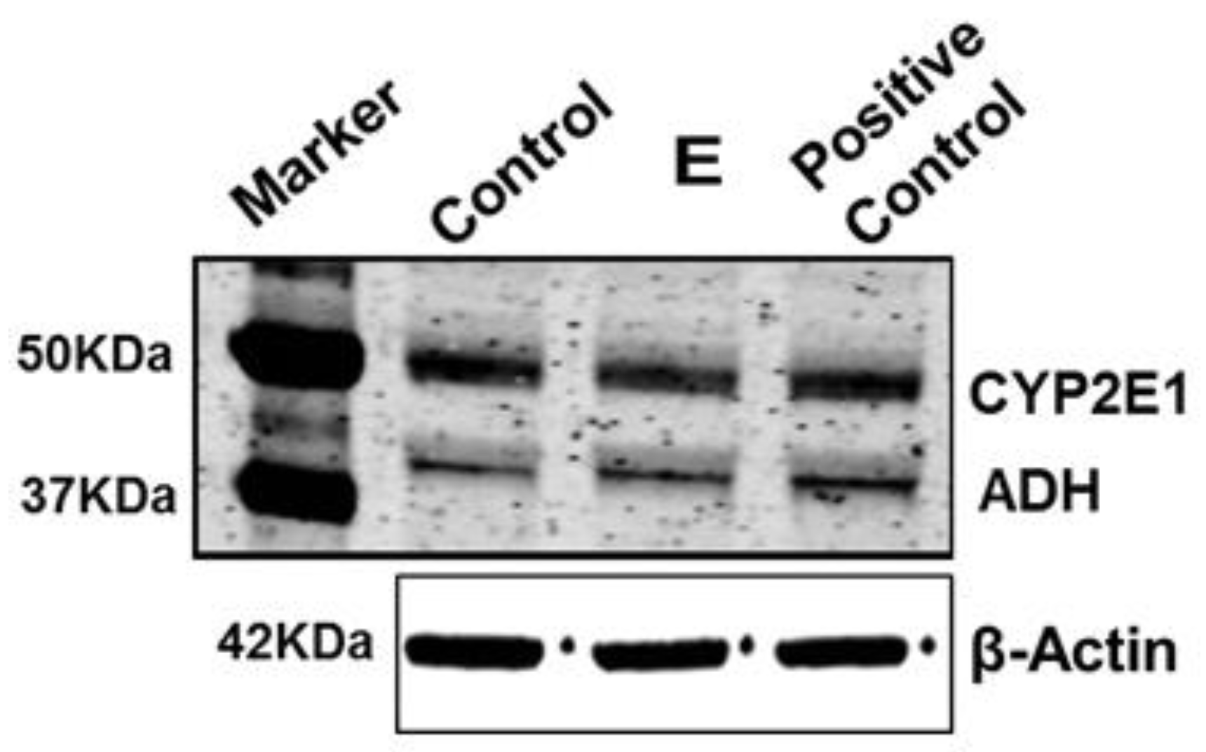 Biomolecules 08 00113 g002