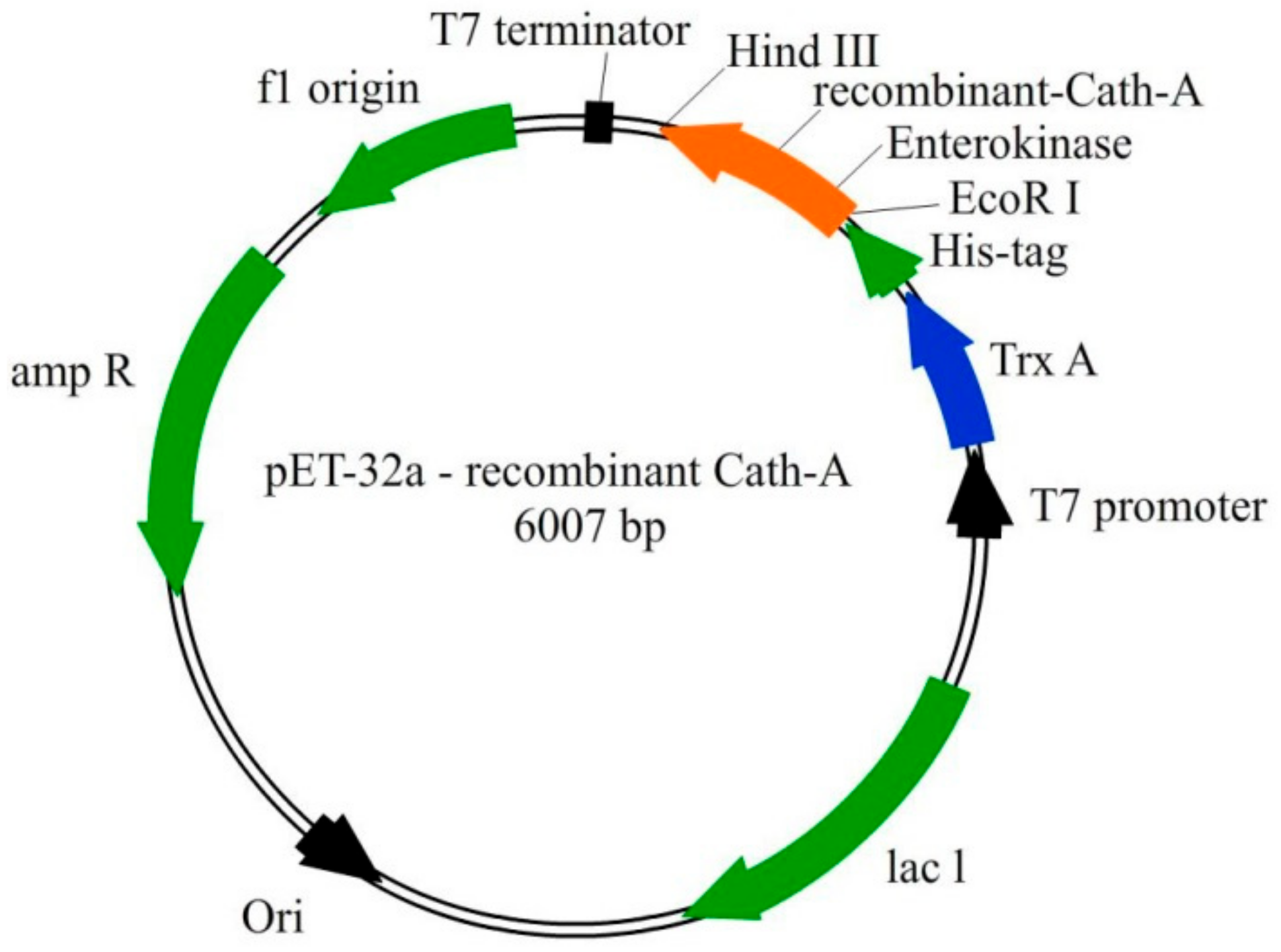 Biomolecules 08 00118 g001