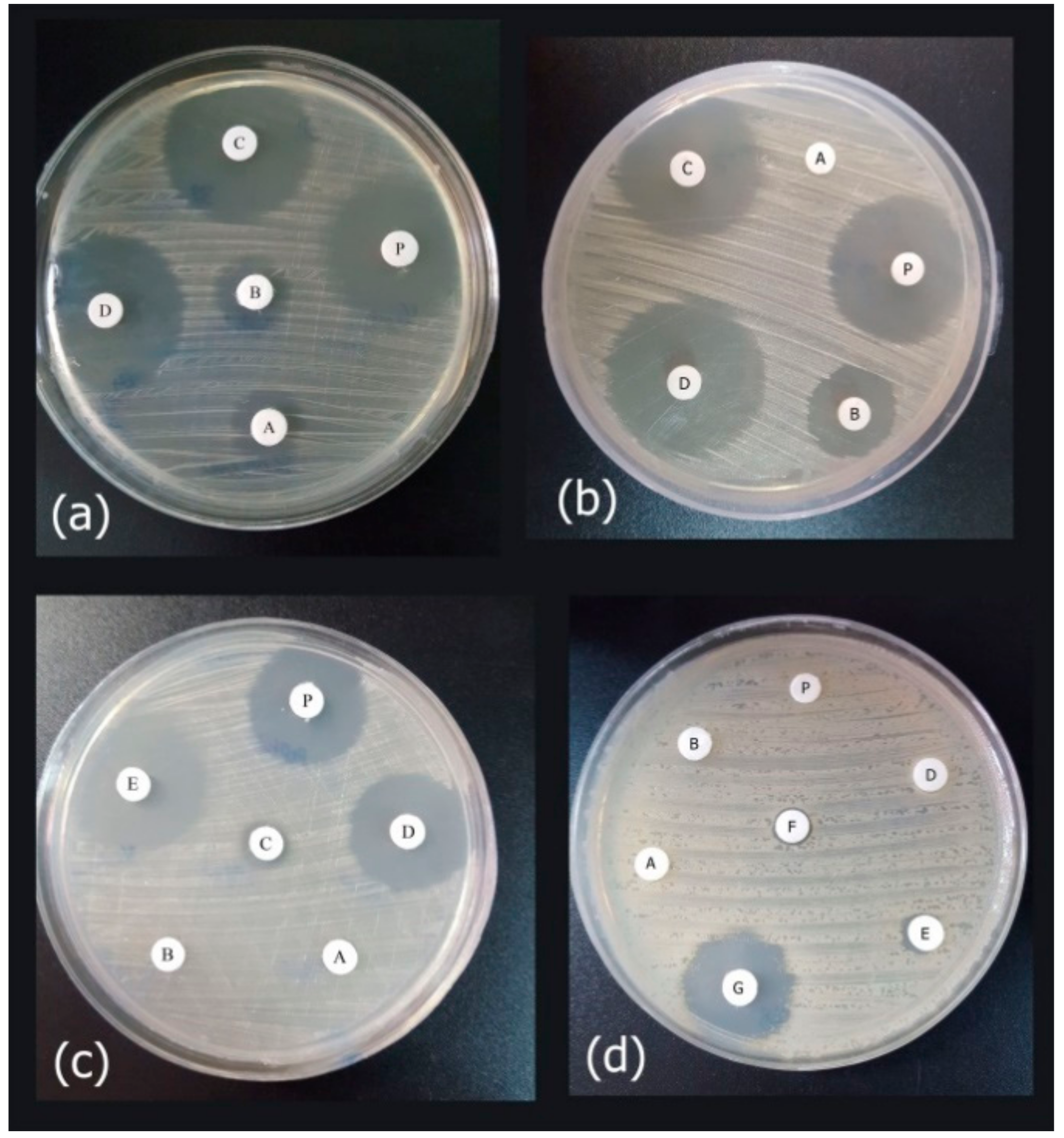 Biomolecules 08 00118 g008