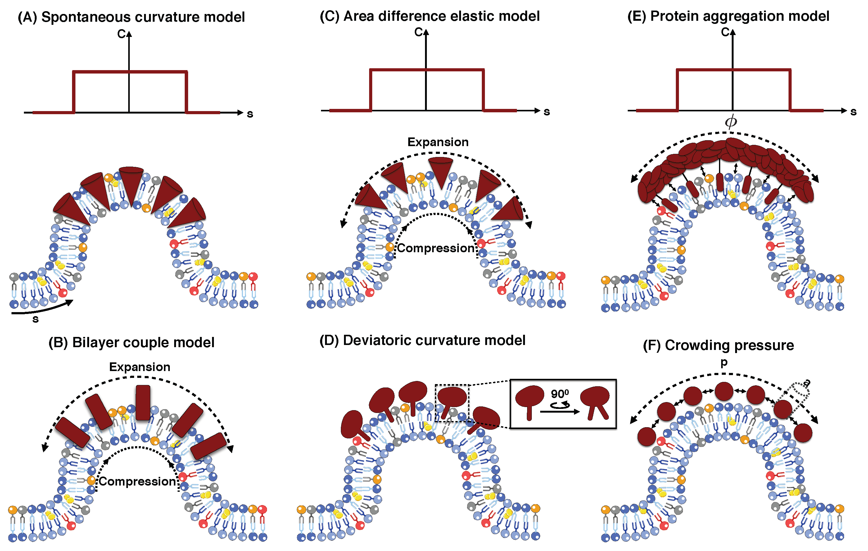 Biomolecules 08 00120 g003 Biomolecules 08 00120 g003