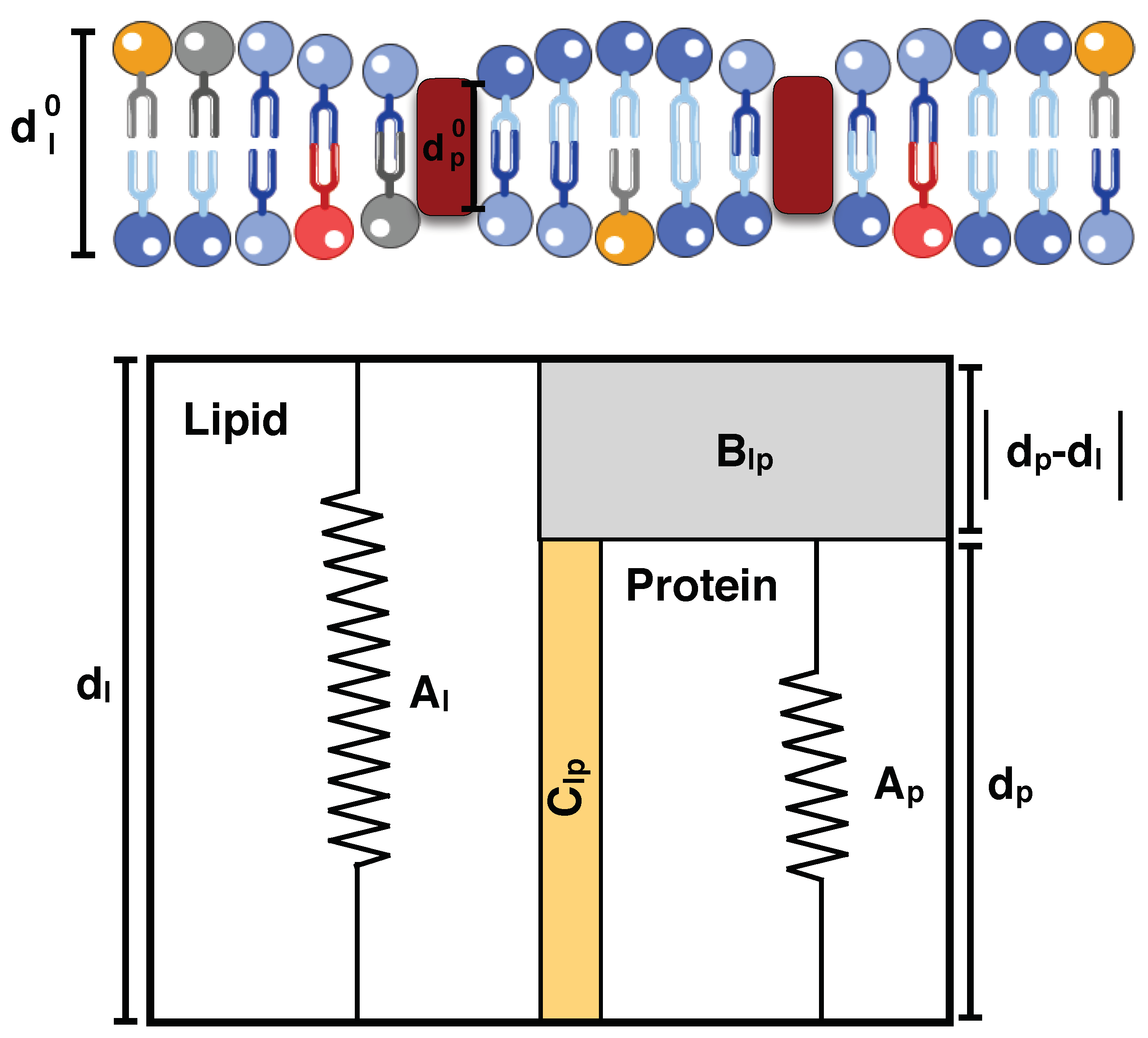Biomolecules 08 00120 g004 Biomolecules 08 00120 g004