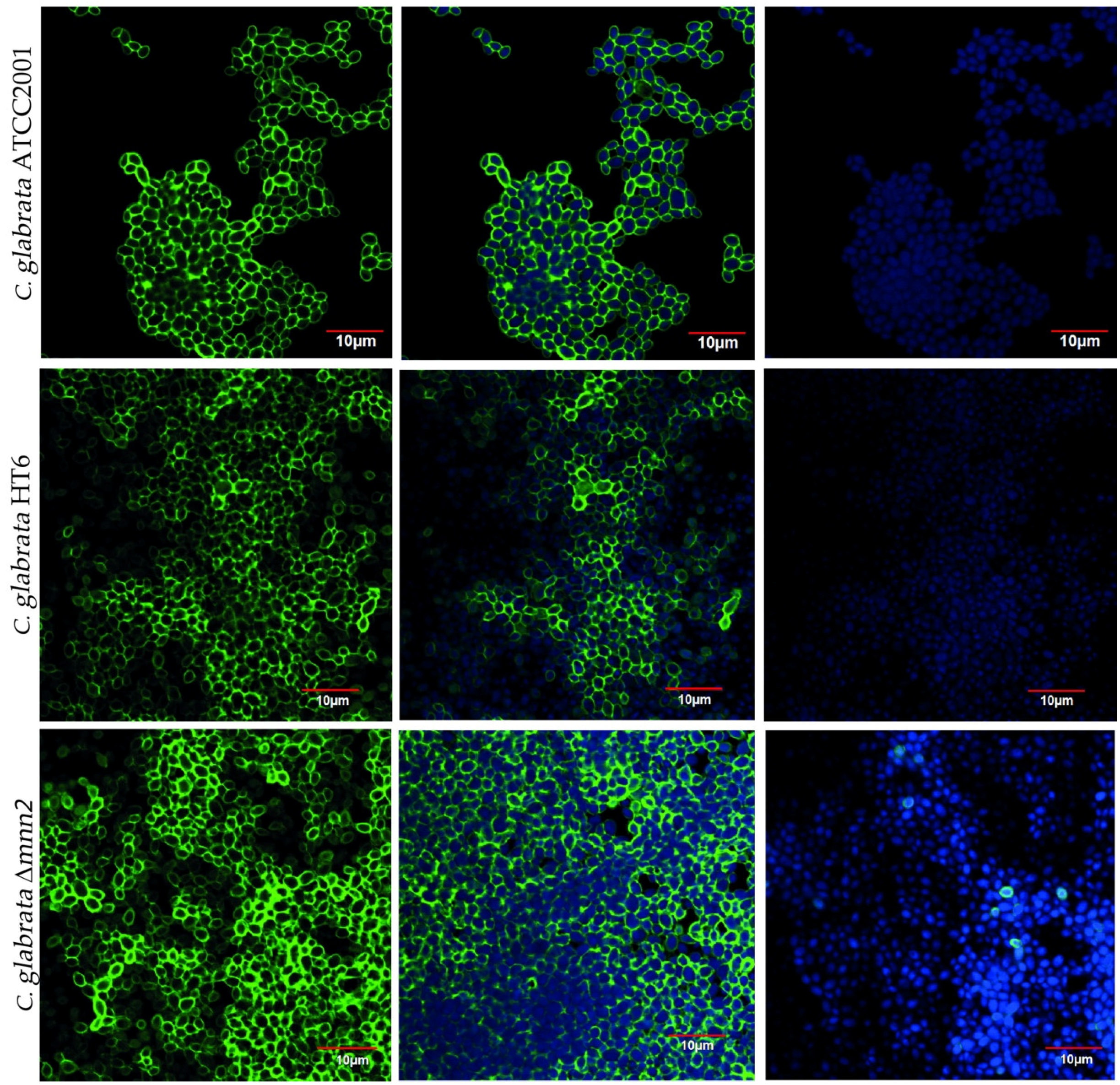 Biomolecules 08 00130 g001
