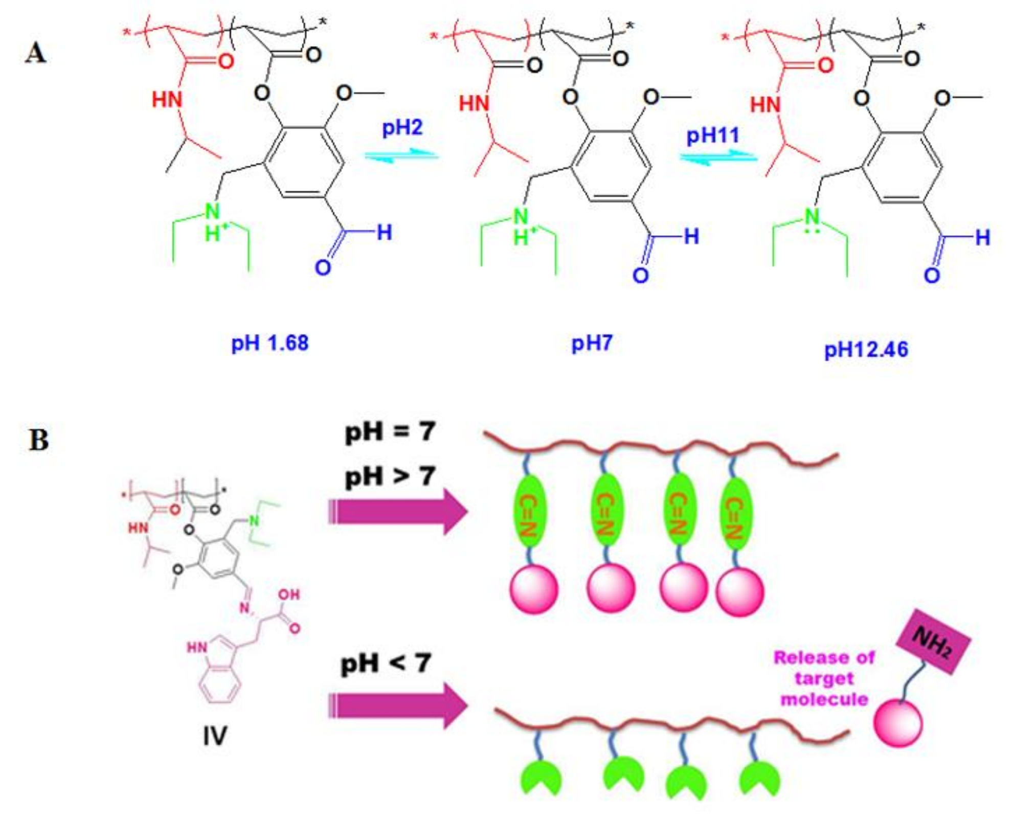 Biomolecules 08 00138 g011 Biomolecules 08 00138 g011