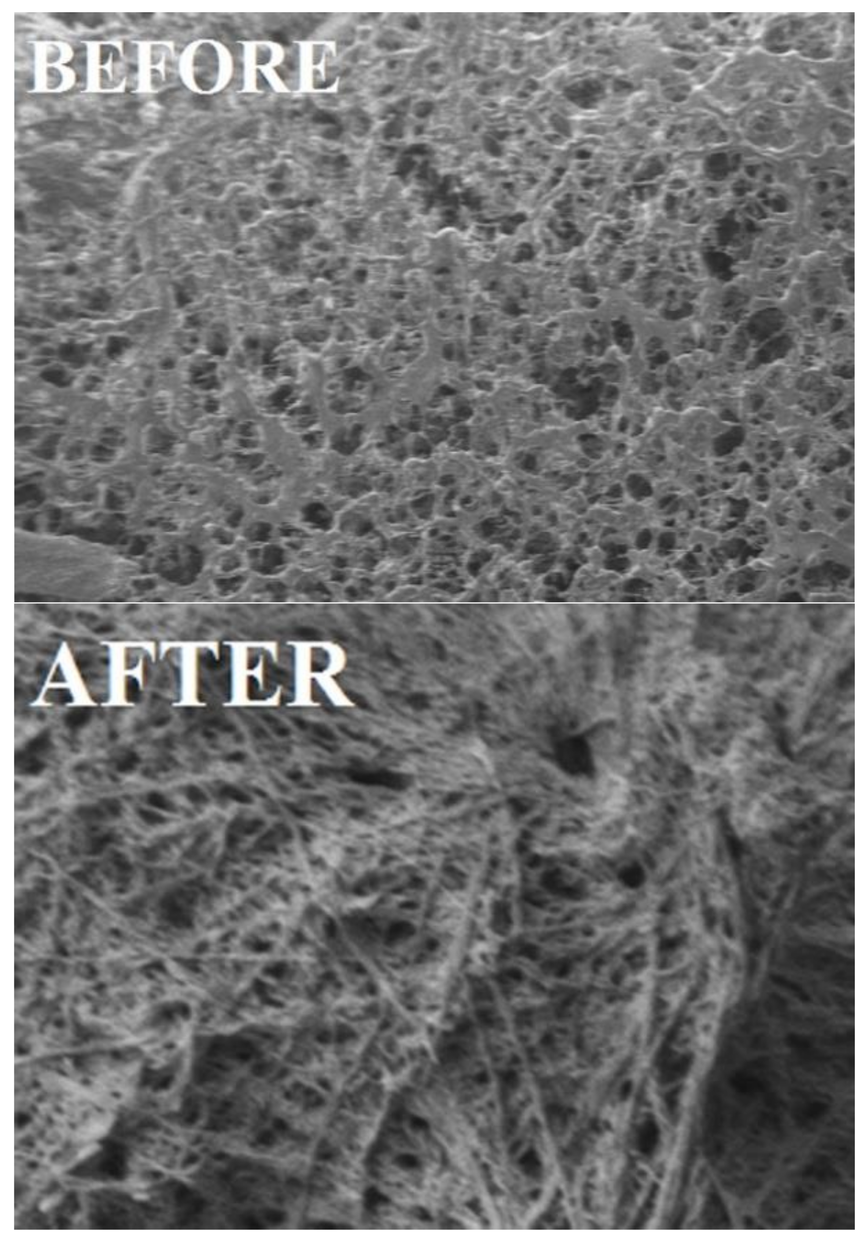 Biomolecules 08 00138 g015 Biomolecules 08 00138 g015