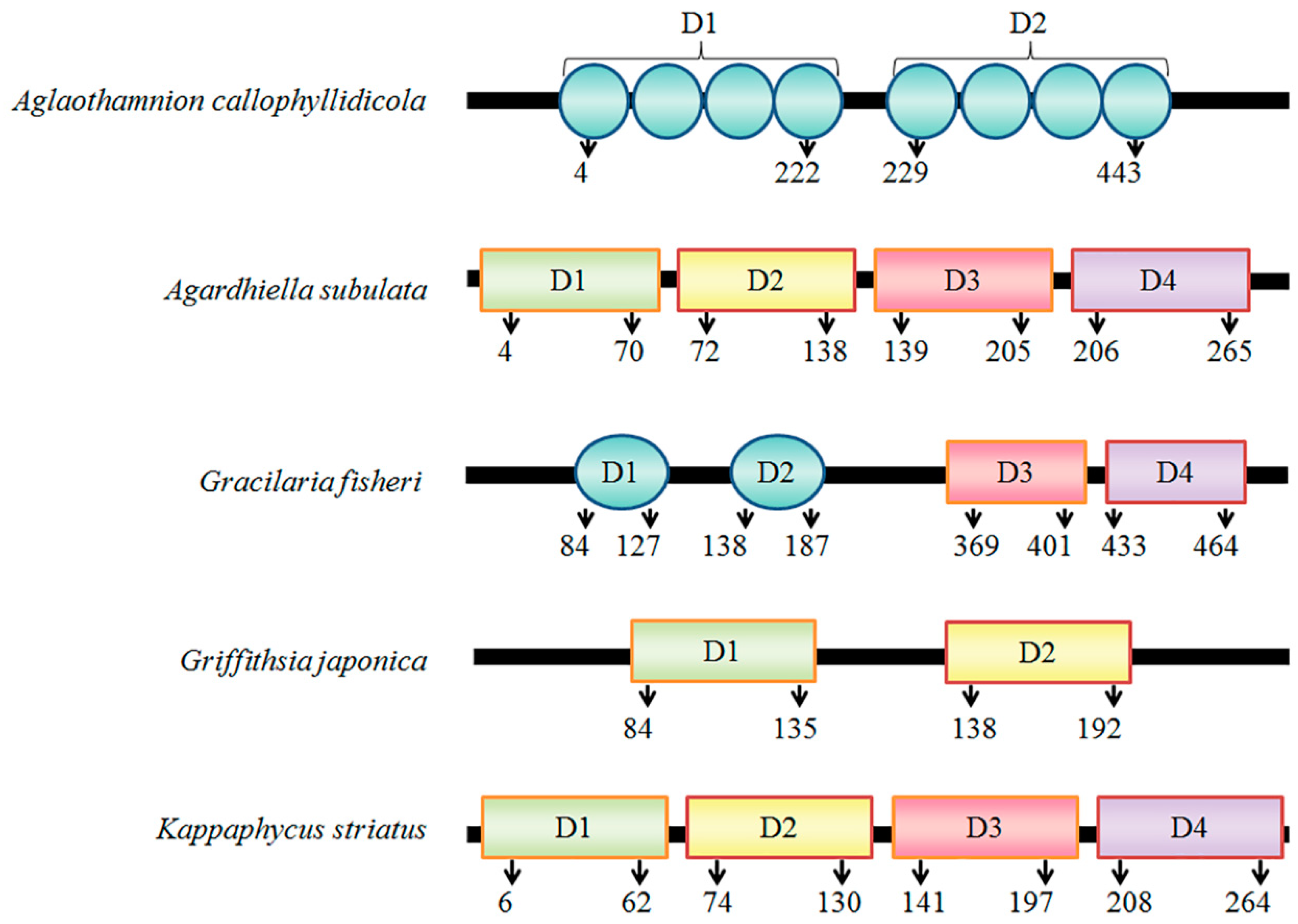 Biomolecules 08 00146 g001 Biomolecules 08 00146 g001