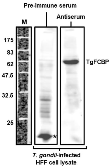 Biomolecules 08 00148 g0a1