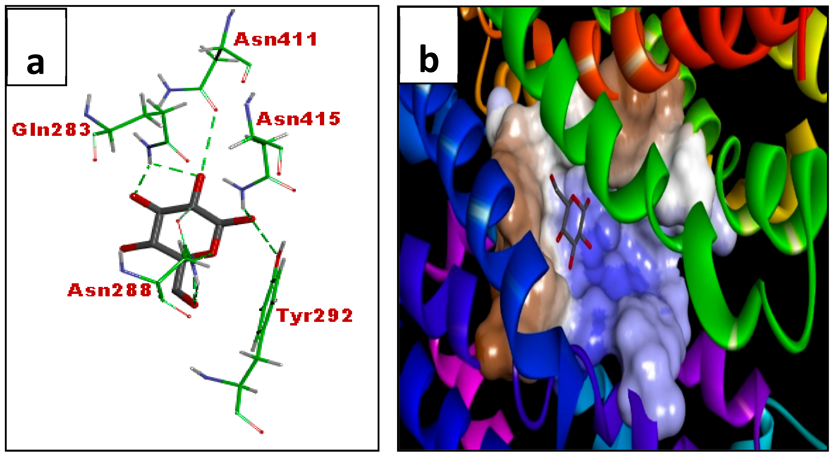 Biomolecules 08 00149 g012