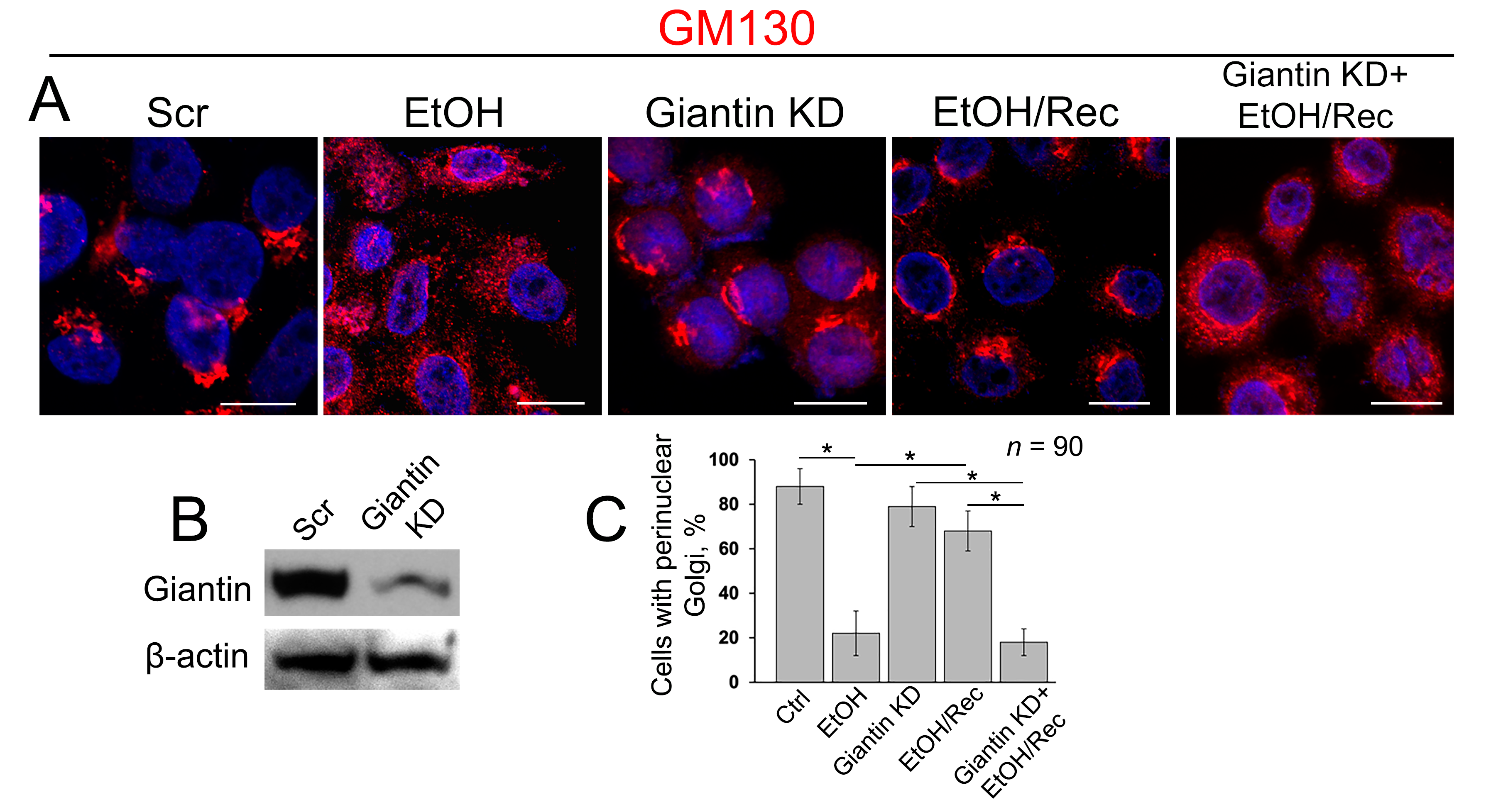 Biomolecules 08 00150 g003