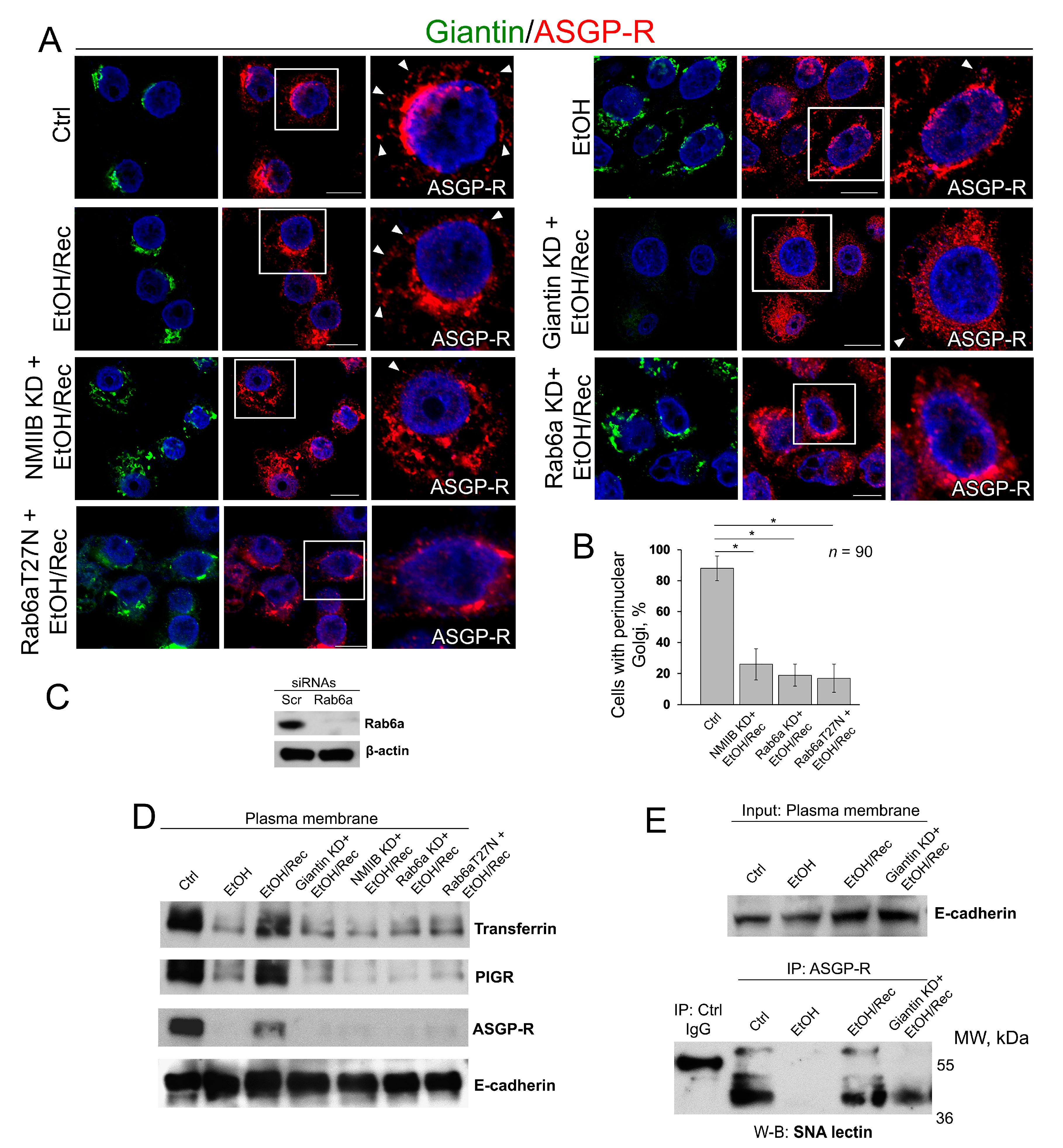 Biomolecules 08 00150 g005