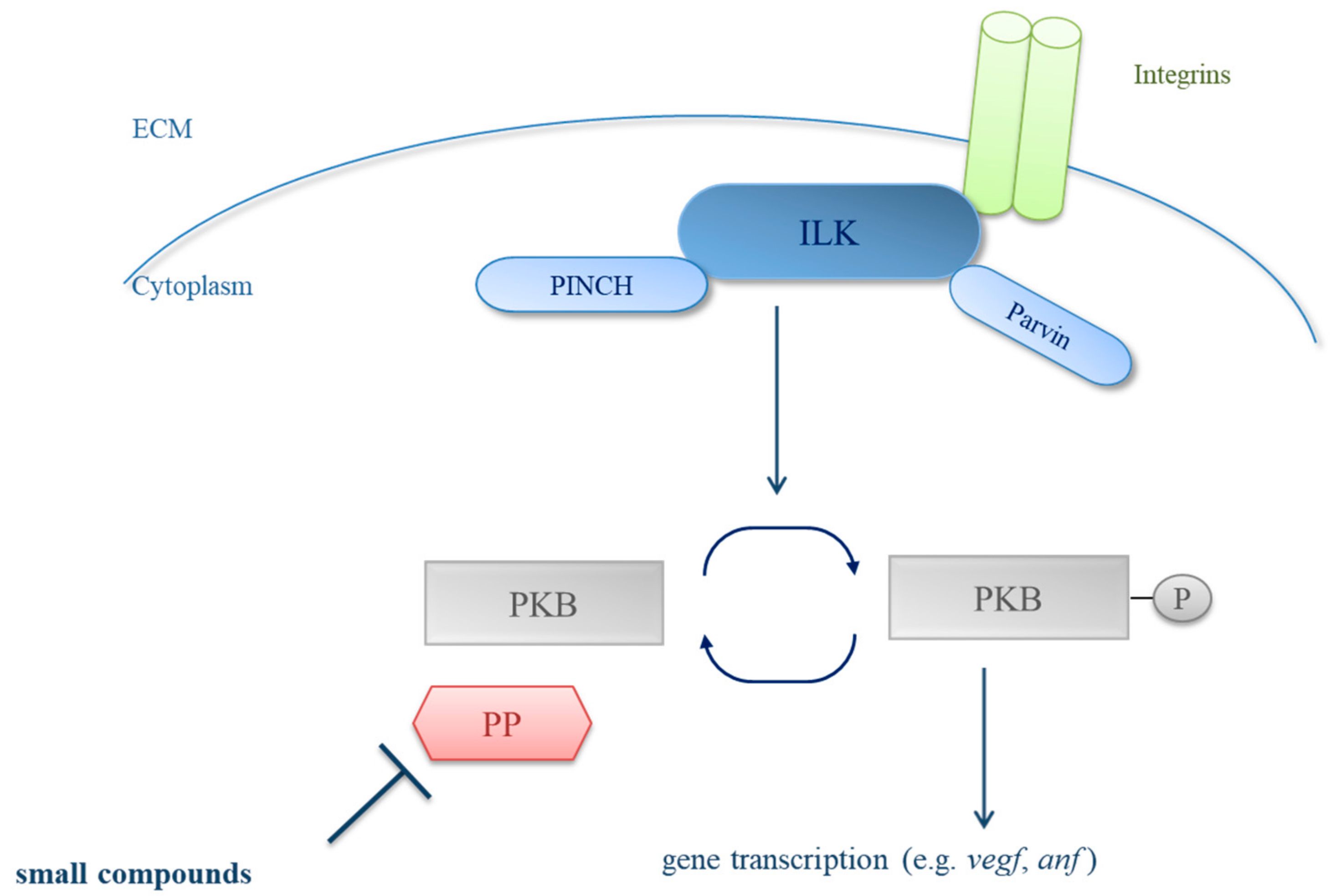 Biomolecules 08 00153 g001 Biomolecules 08 00153 g001