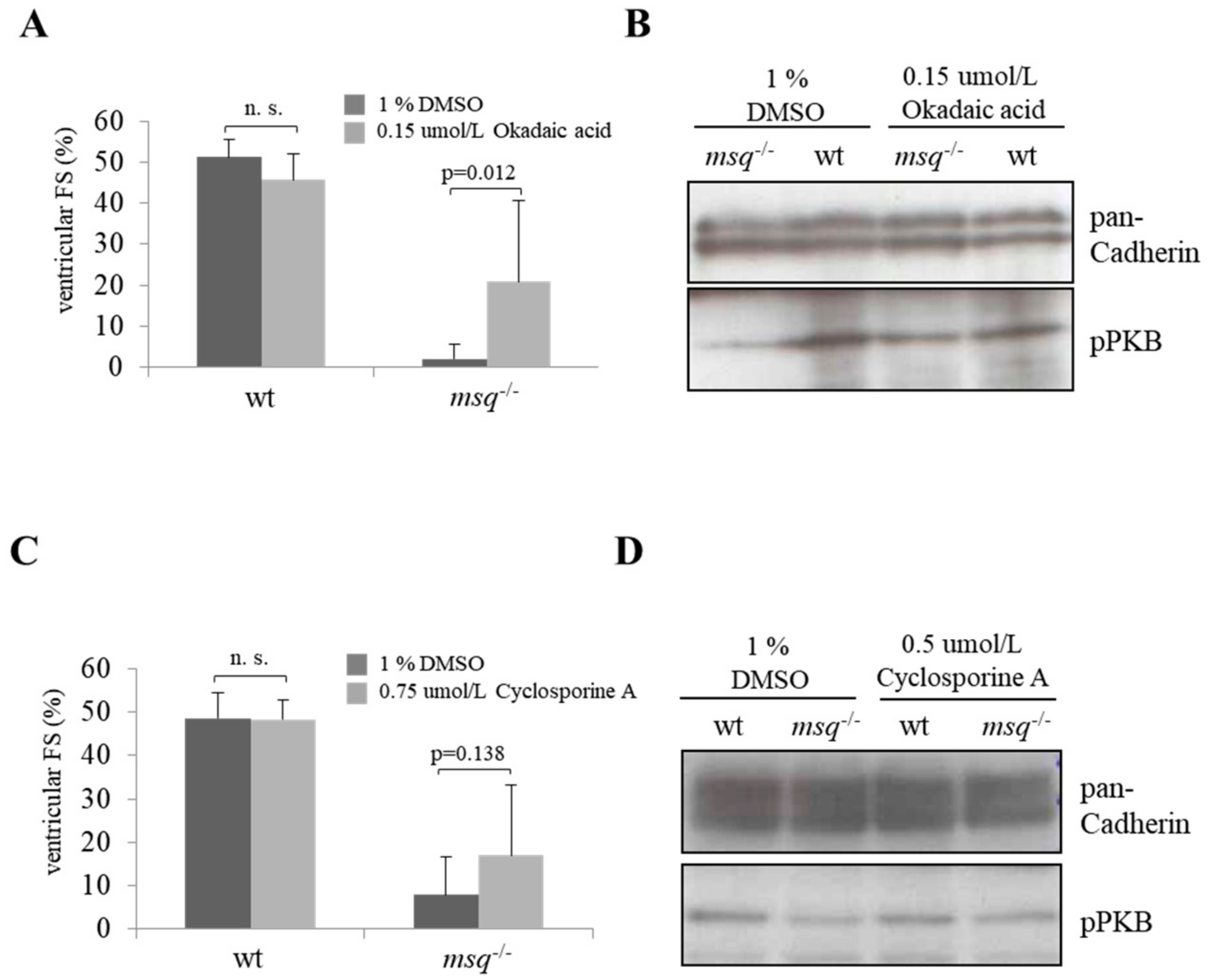 Biomolecules 08 00153 g005 Biomolecules 08 00153 g005
