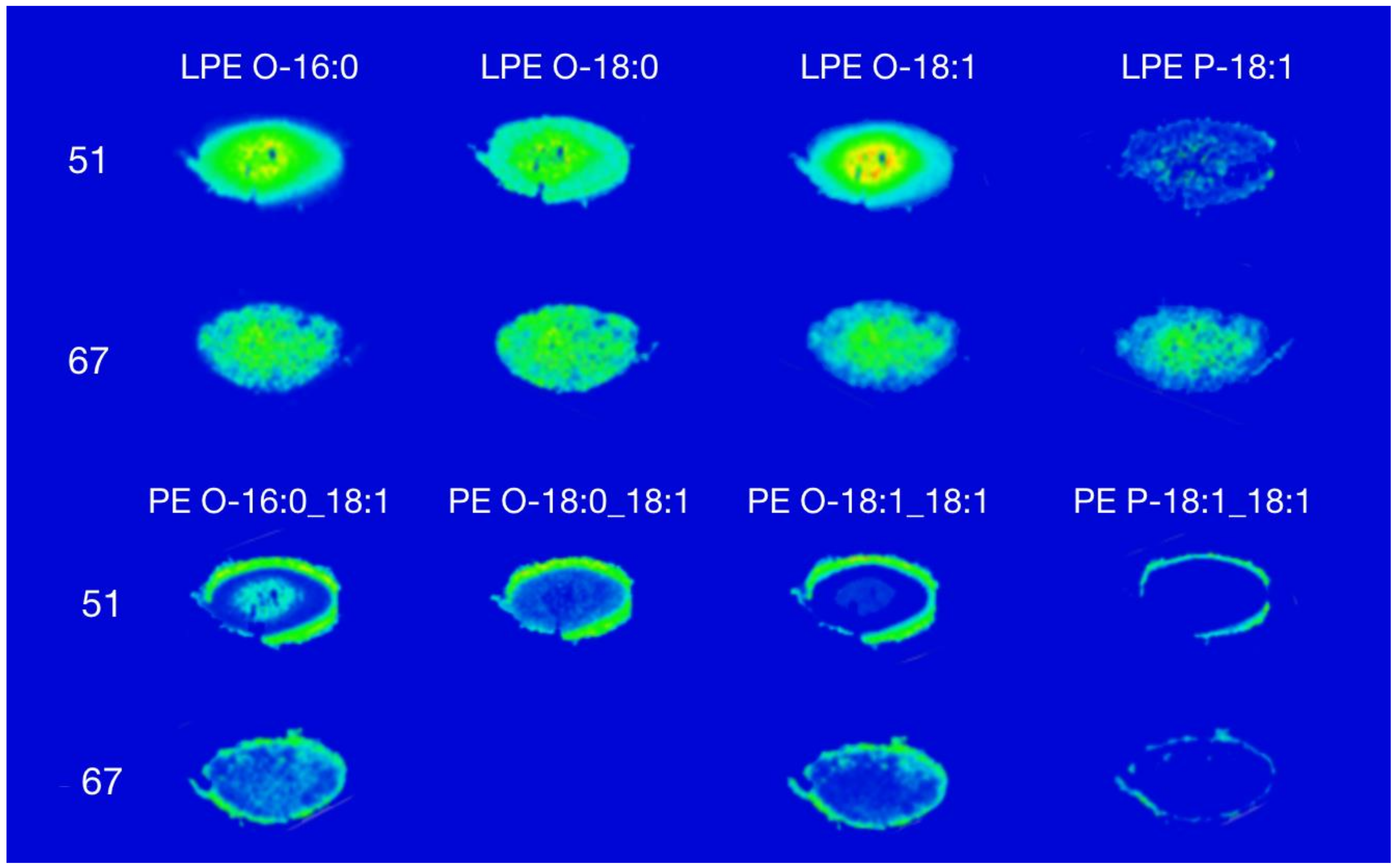Biomolecules 08 00156 g001