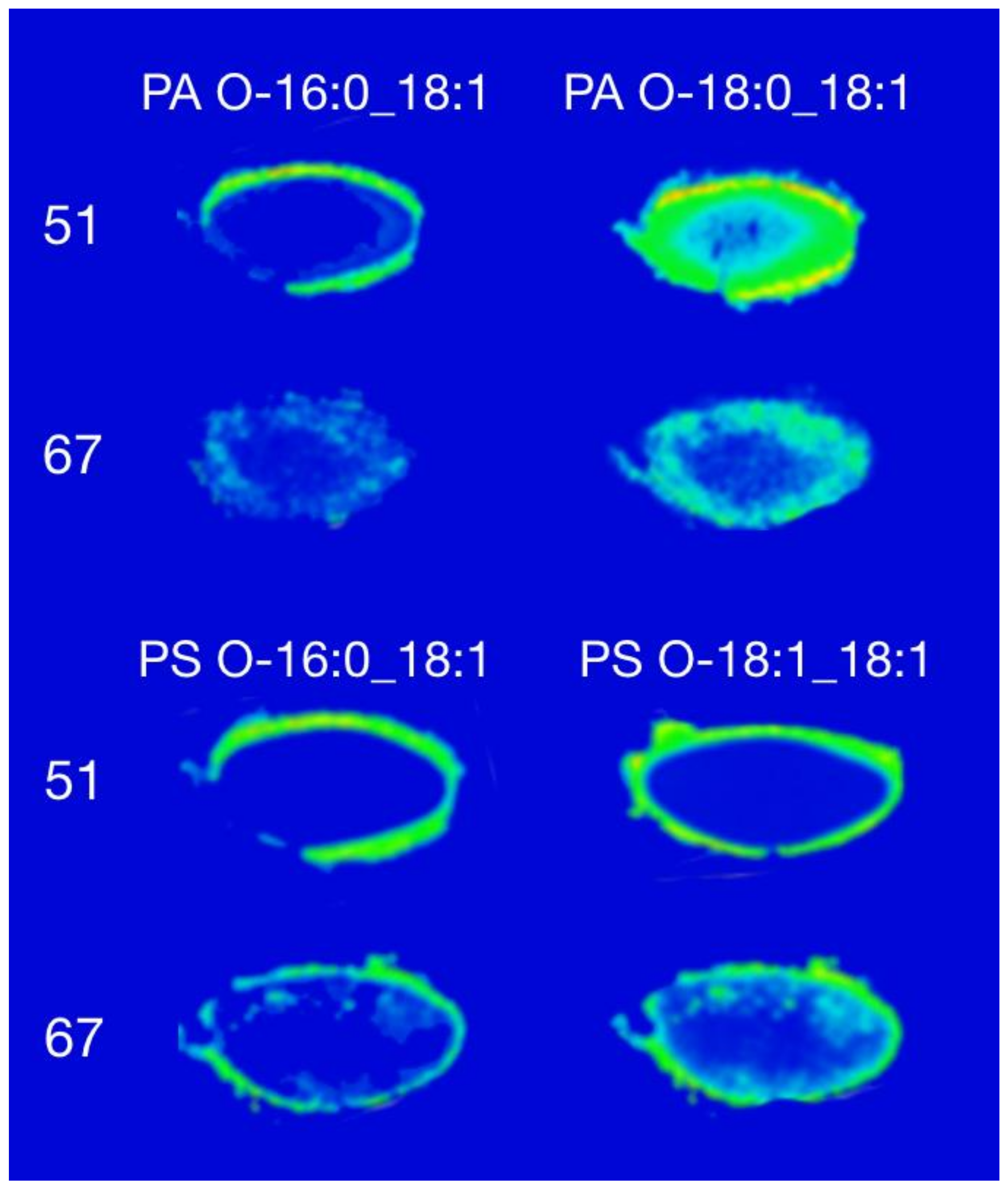 Biomolecules 08 00156 g002