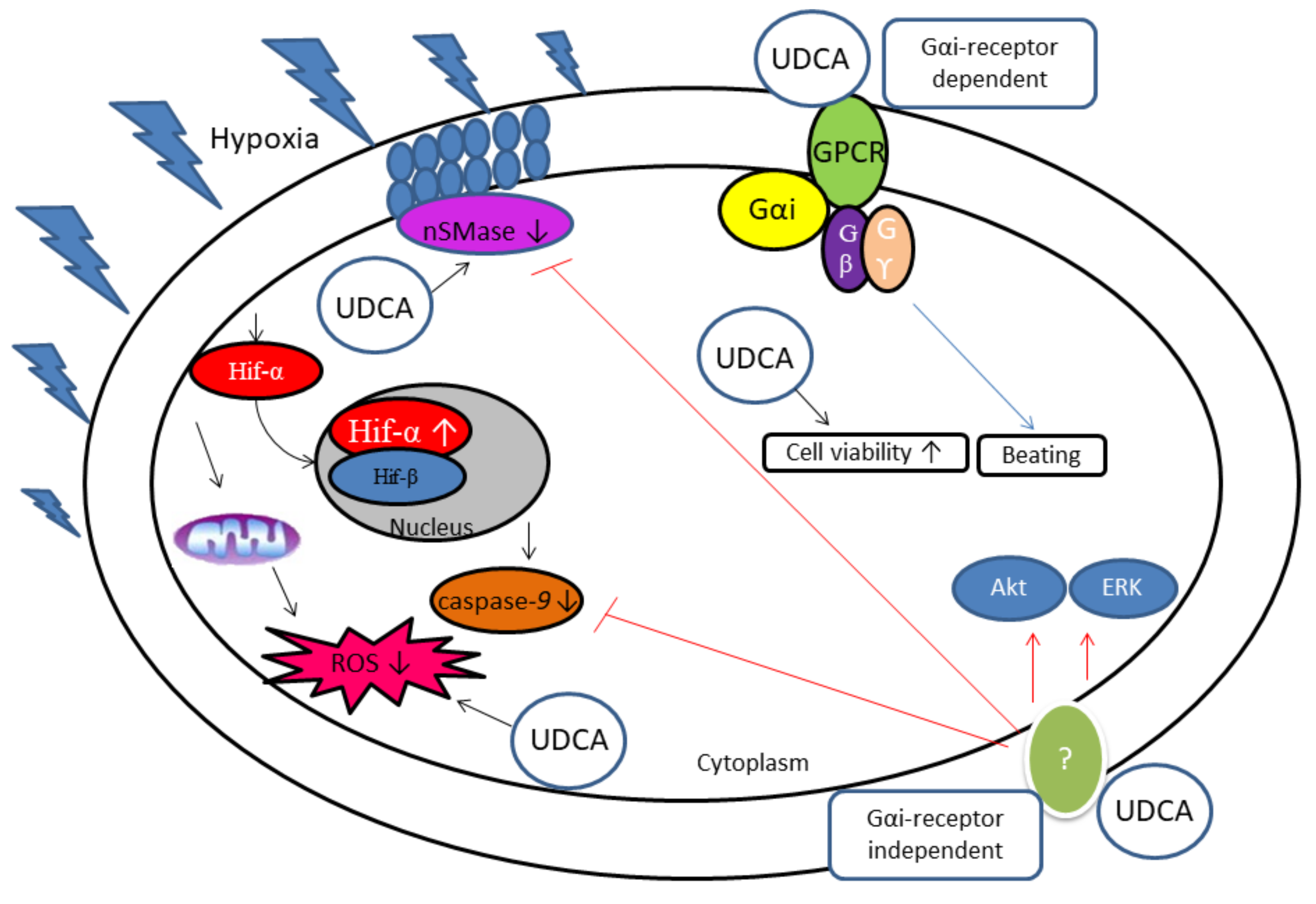 Biomolecules 08 00159 g002