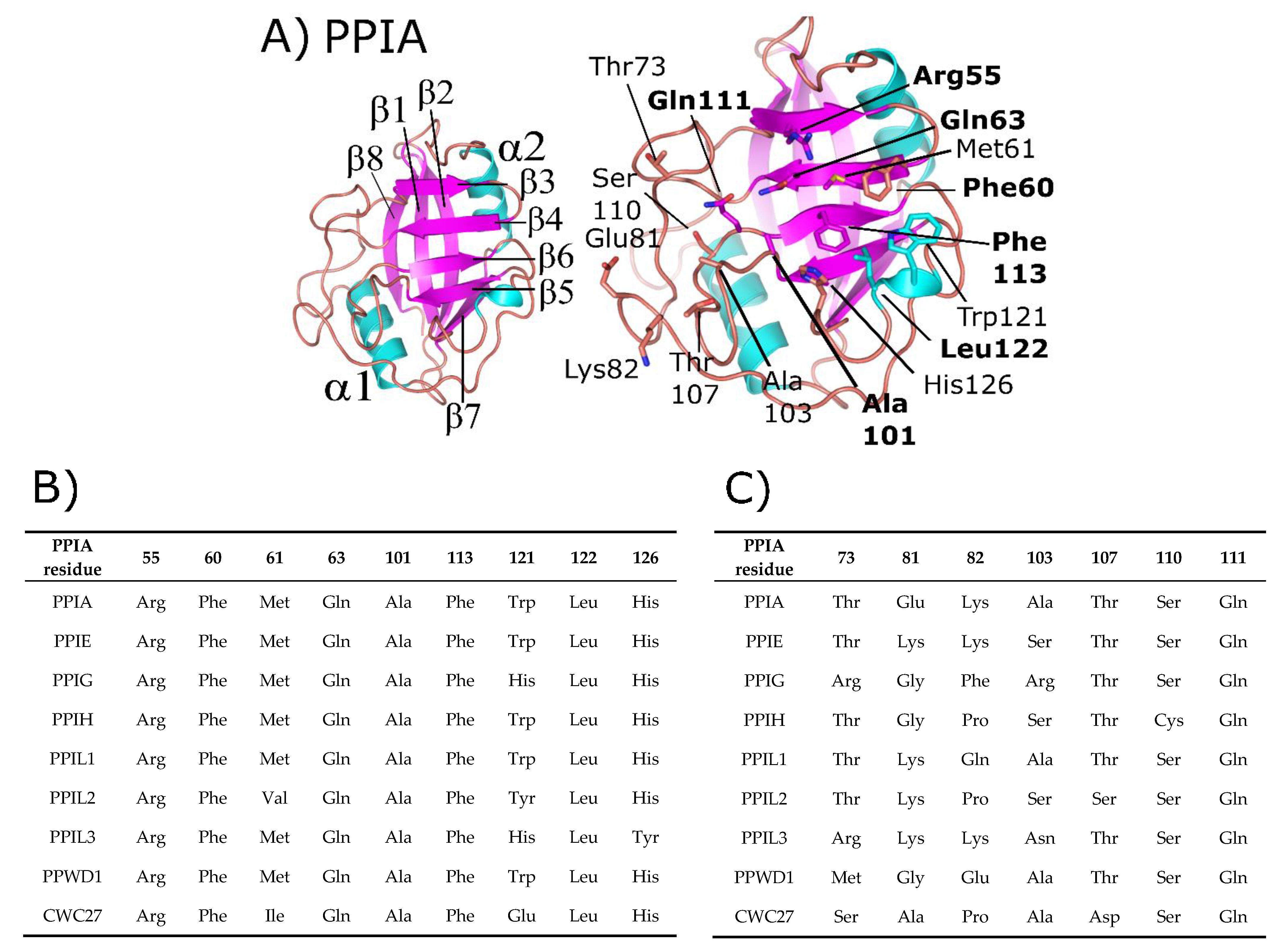 Biomolecules 08 00161 g001
