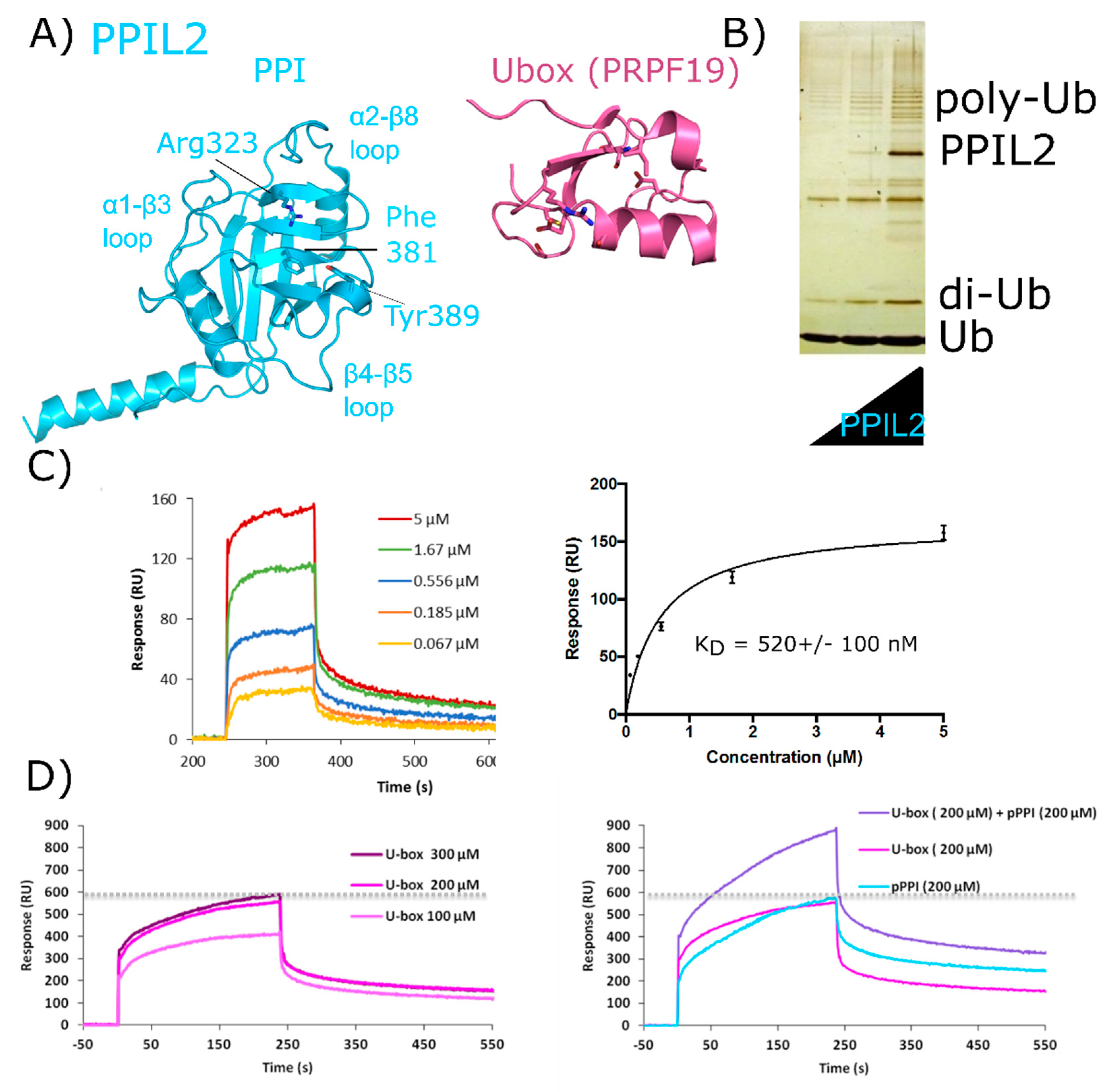 Biomolecules 08 00161 g007