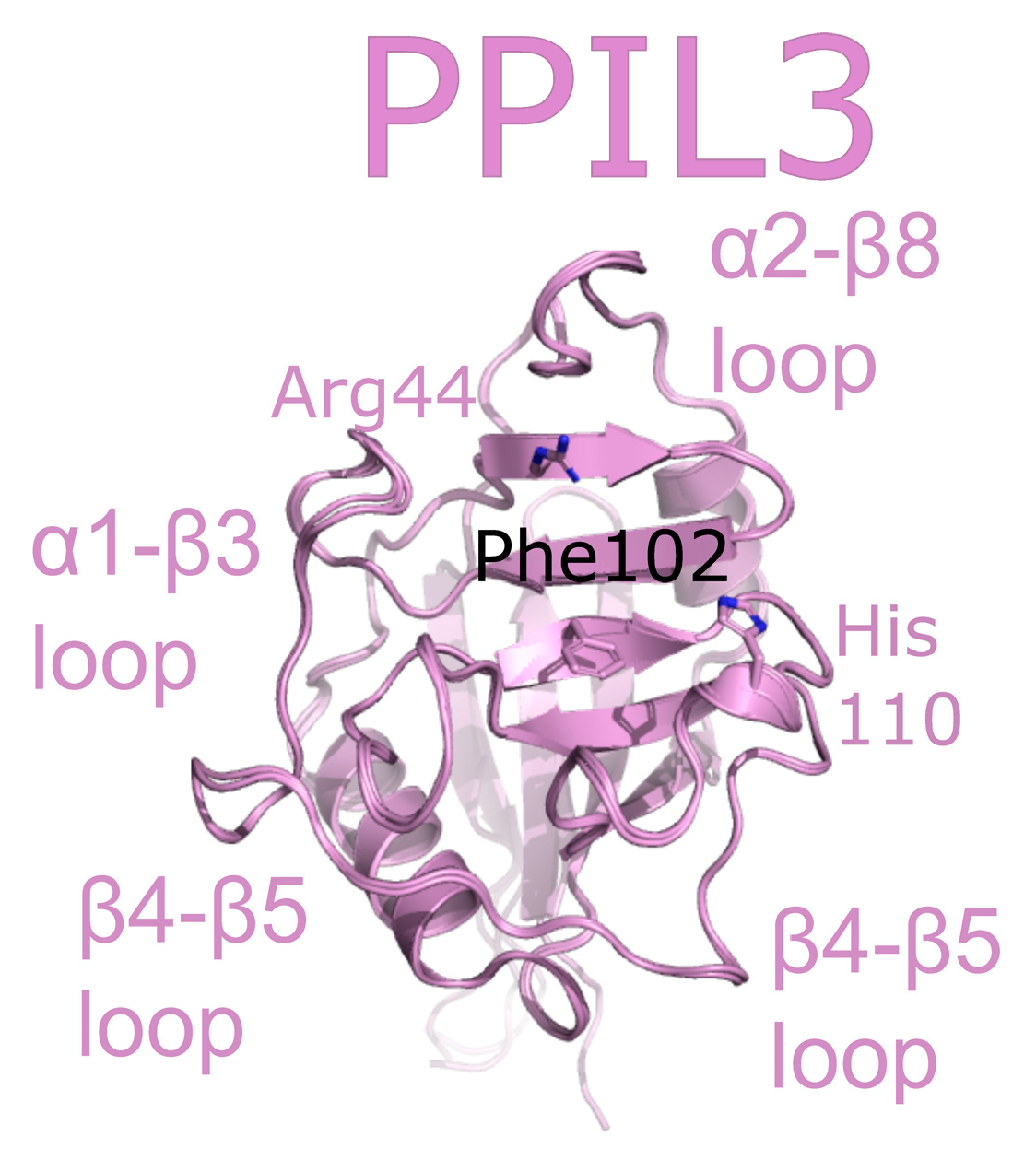 Biomolecules 08 00161 g008