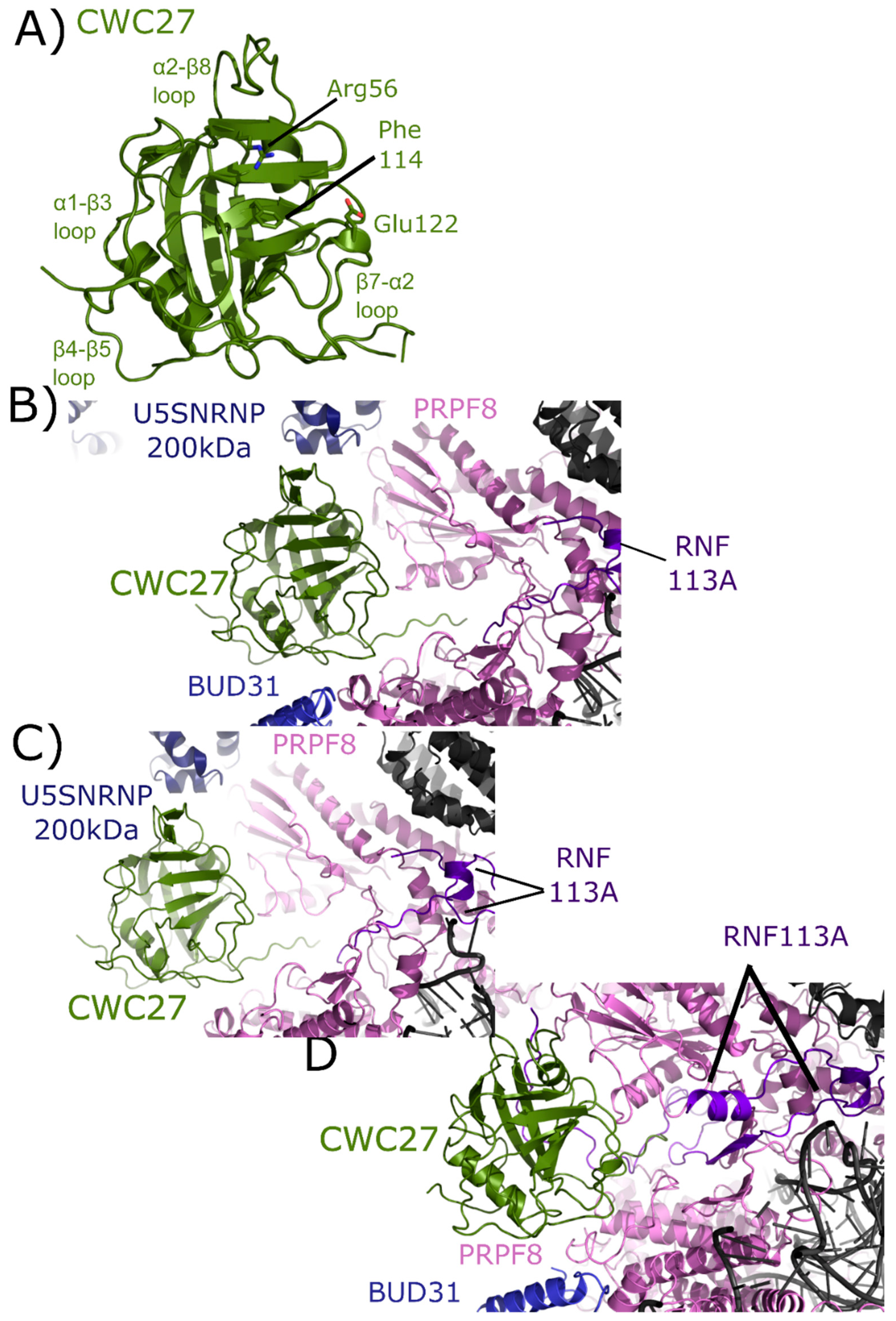 Biomolecules 08 00161 g009