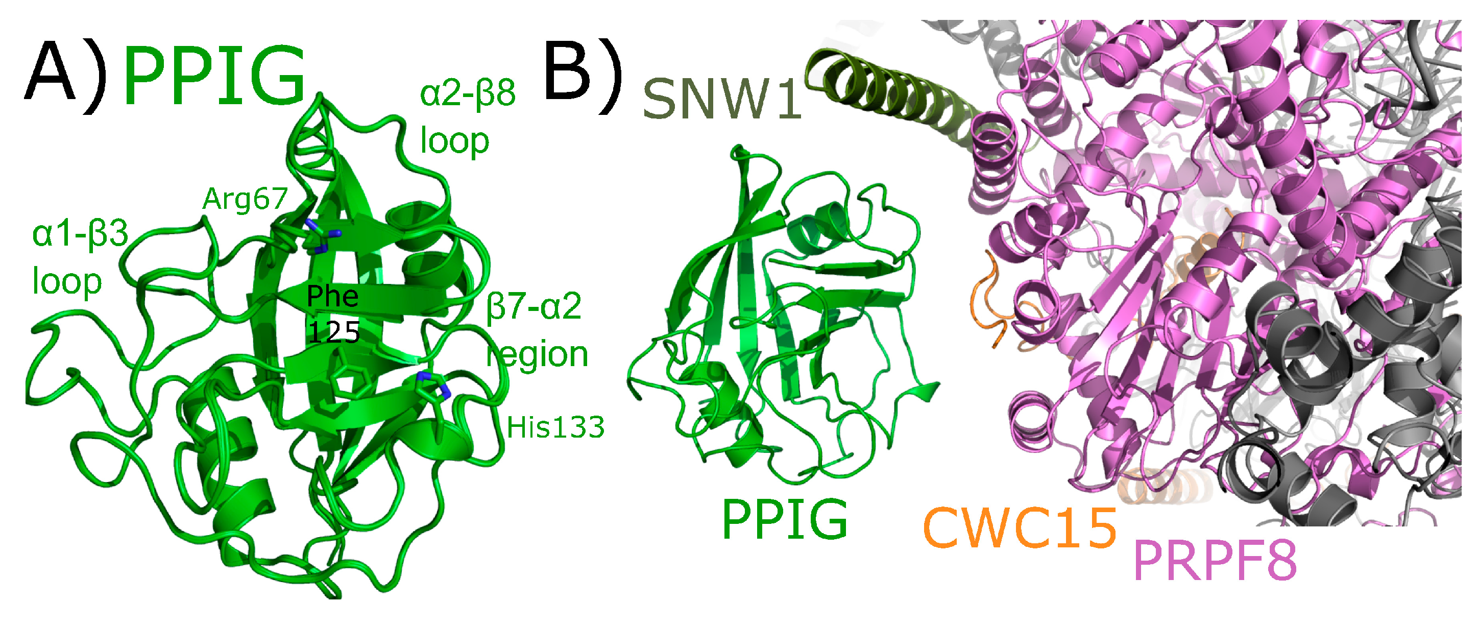 Biomolecules 08 00161 g011
