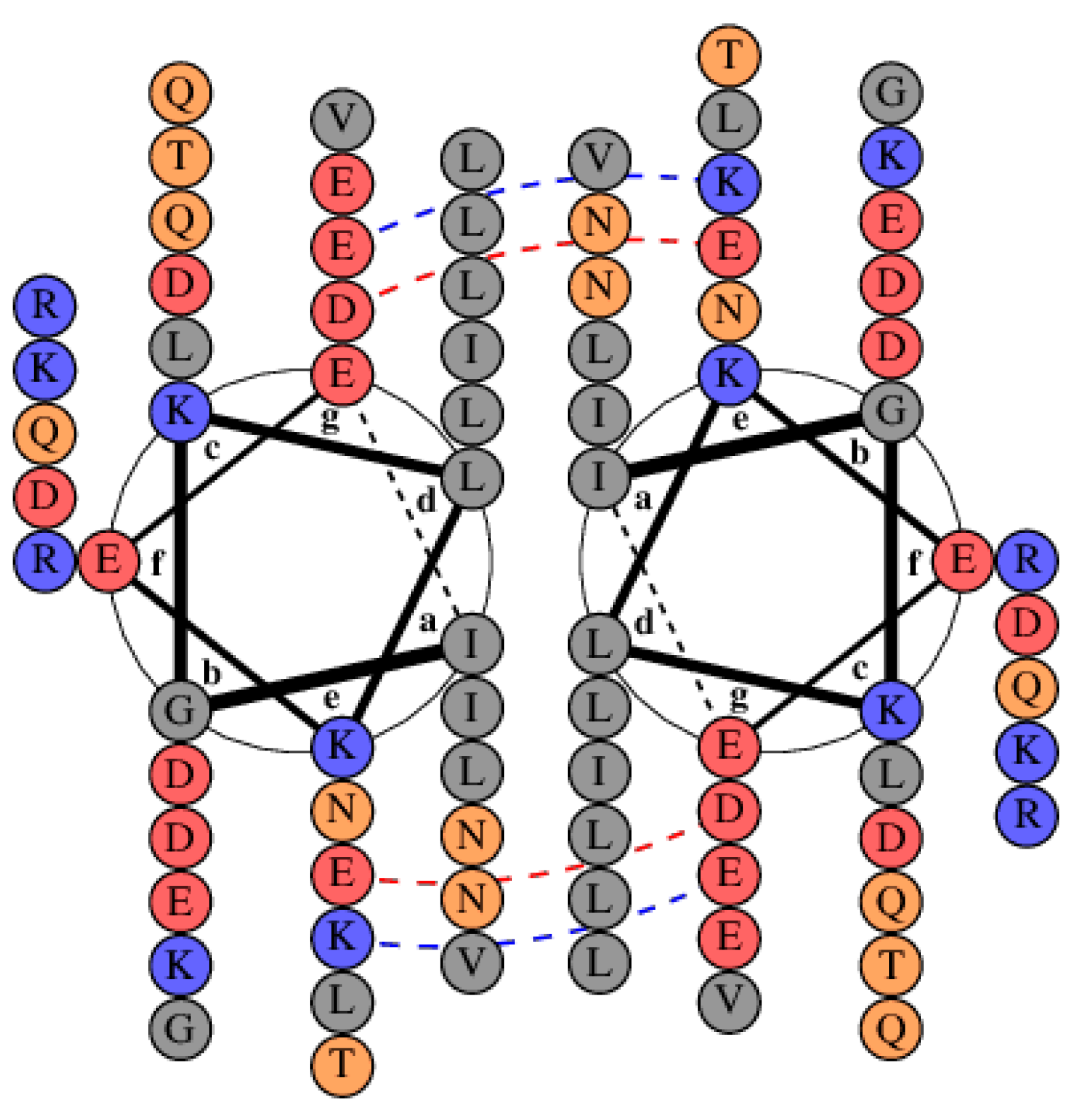 Biomolecules 08 00162 g006 Biomolecules 08 00162 g006