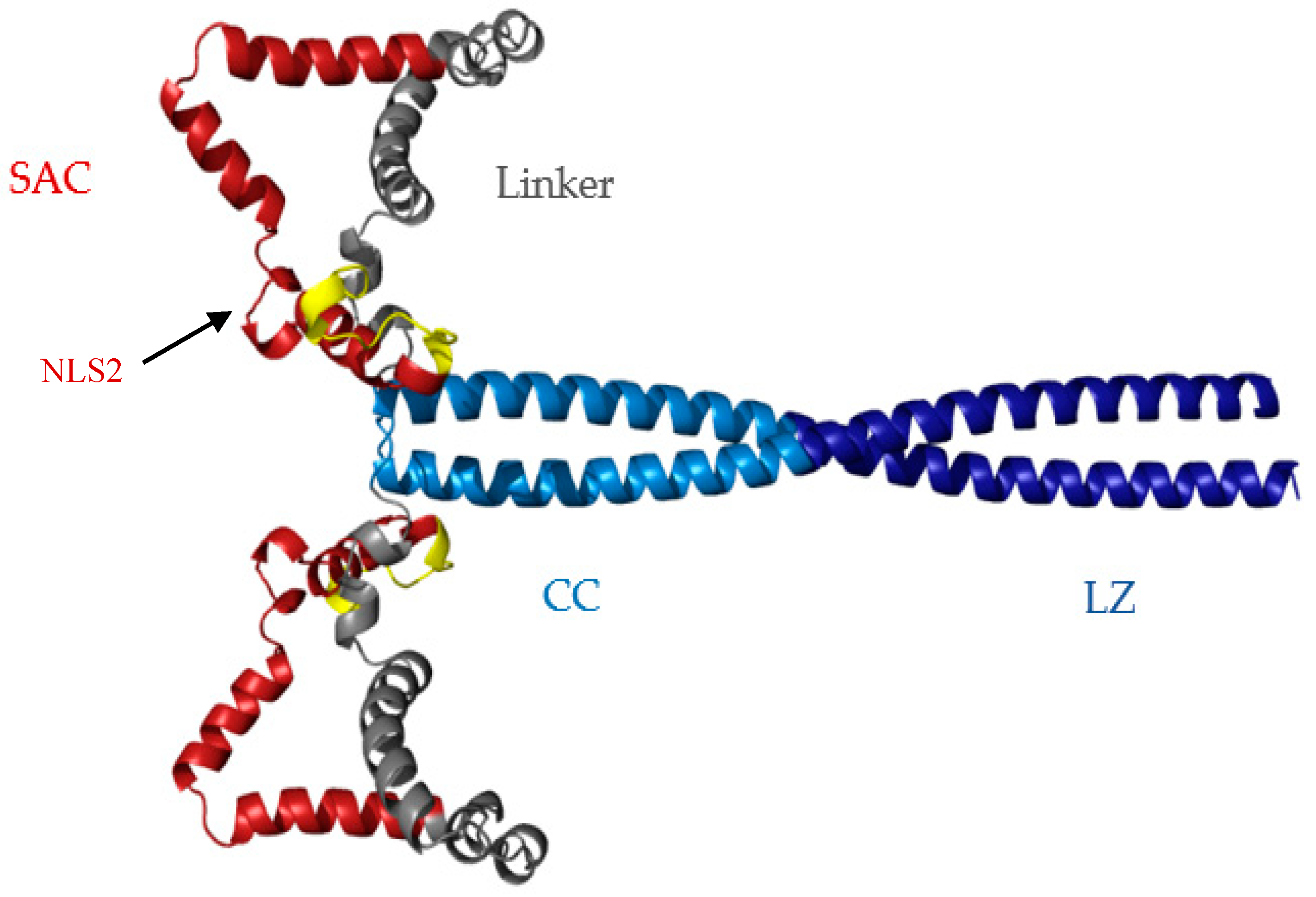 Biomolecules 08 00162 g007 Biomolecules 08 00162 g007