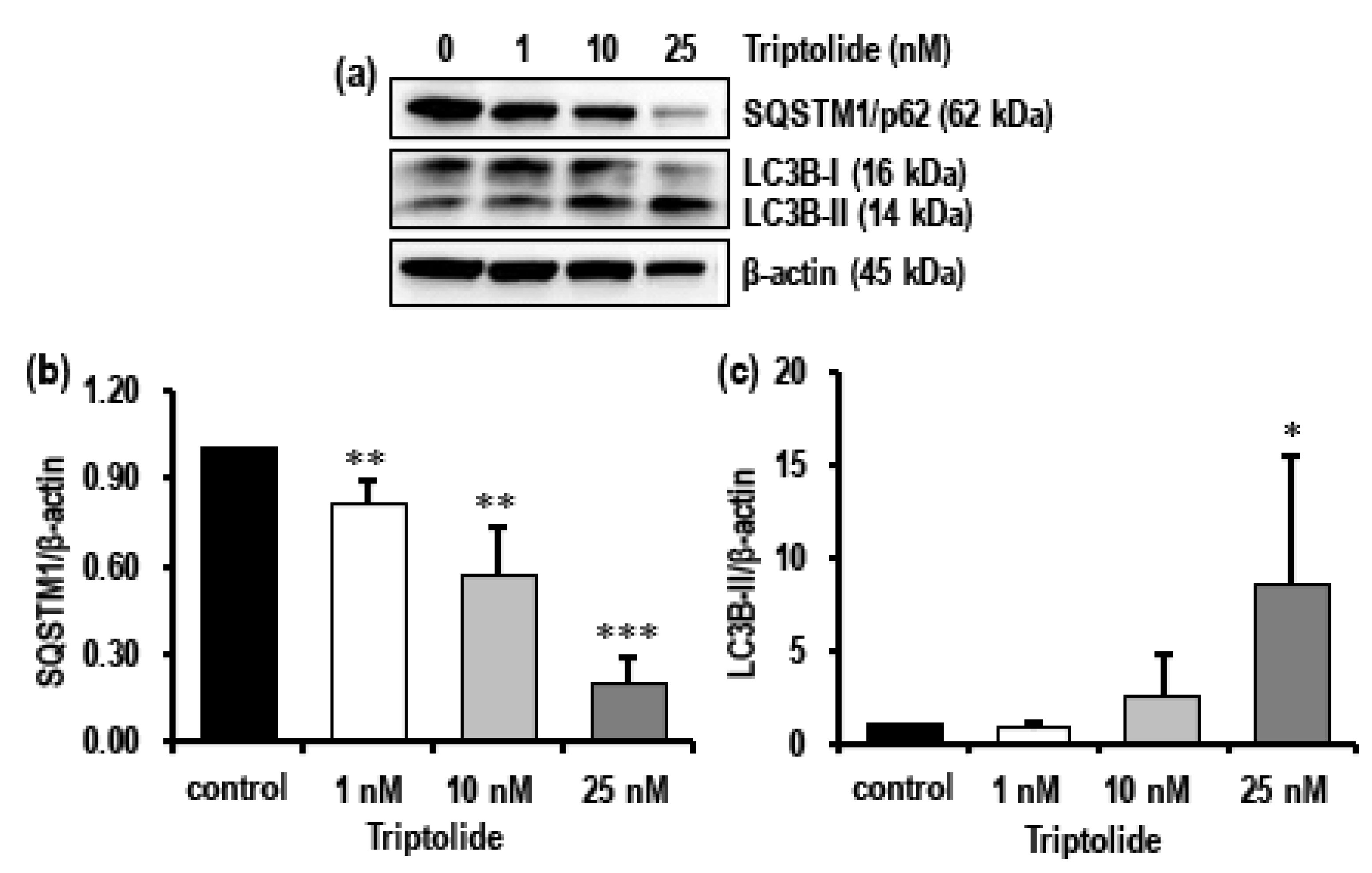Biomolecules 08 00163 g005