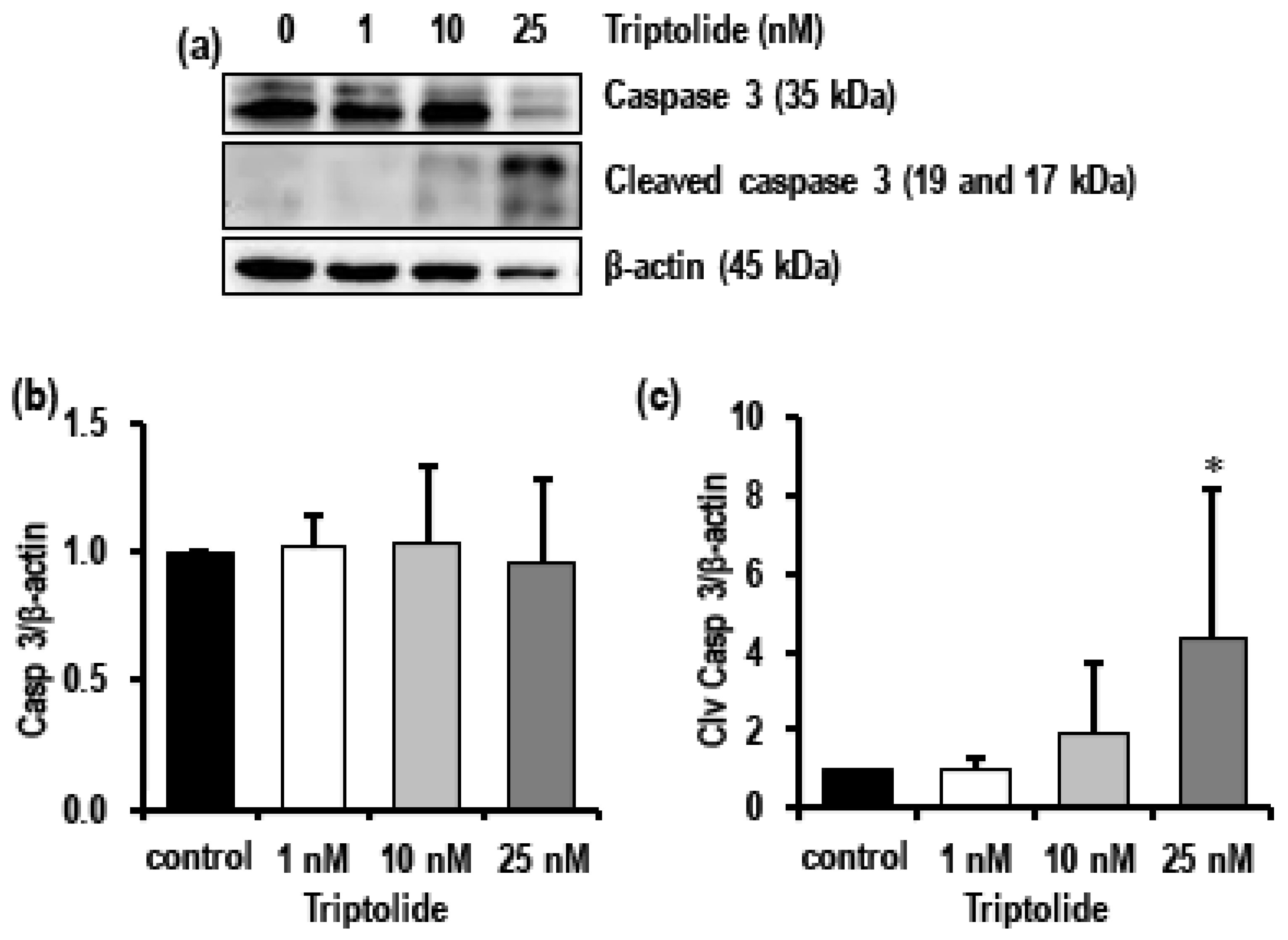 Biomolecules 08 00163 g006