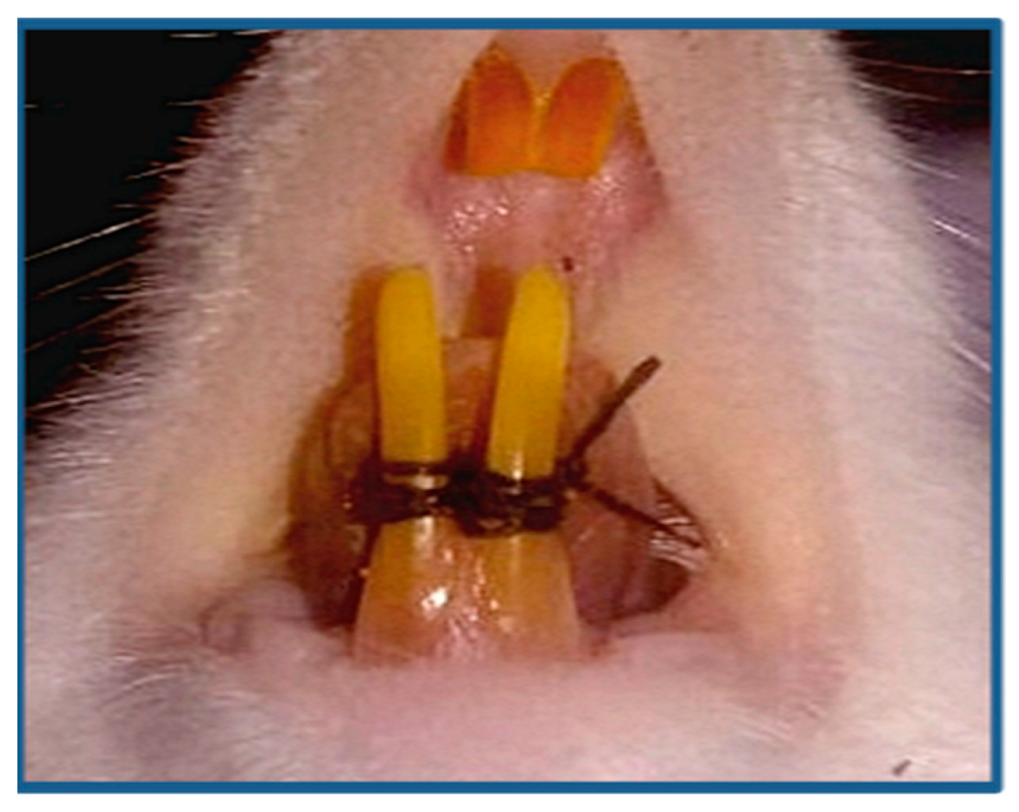 Biomolecules 08 00167 g001