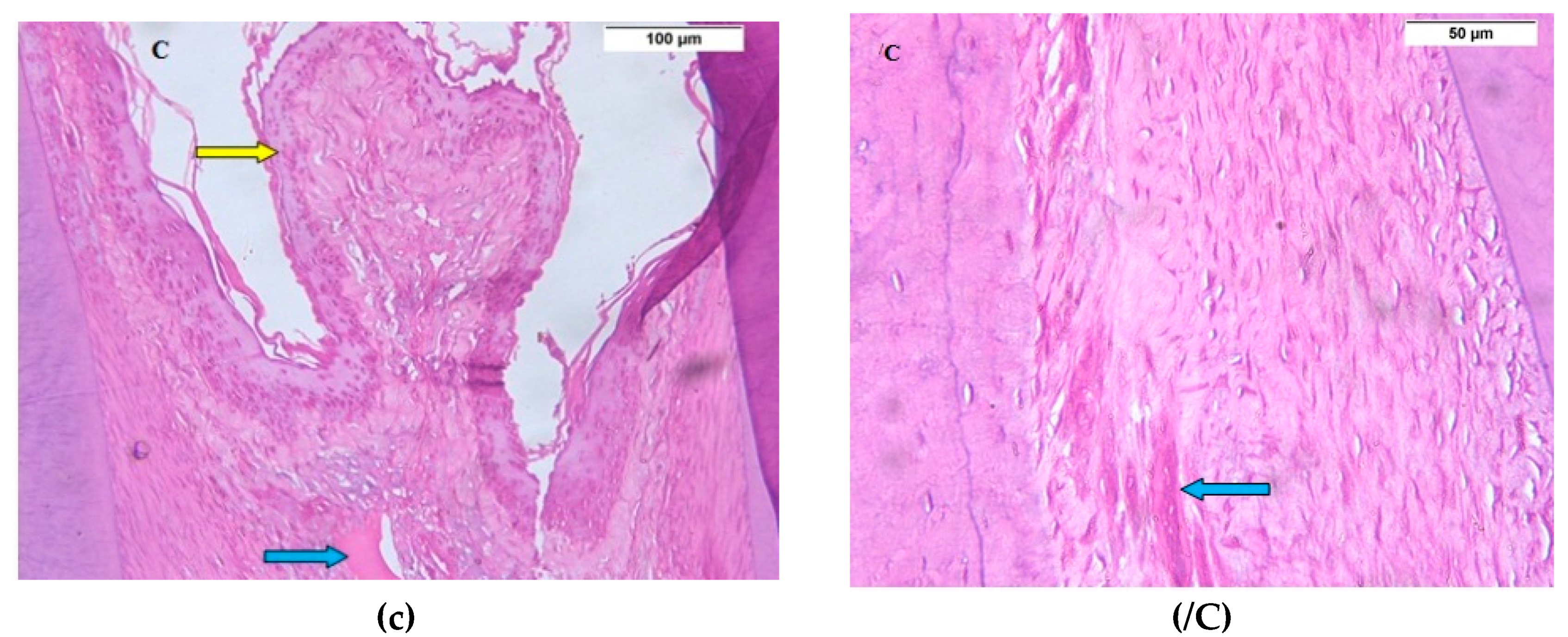 Biomolecules 08 00167 g003b