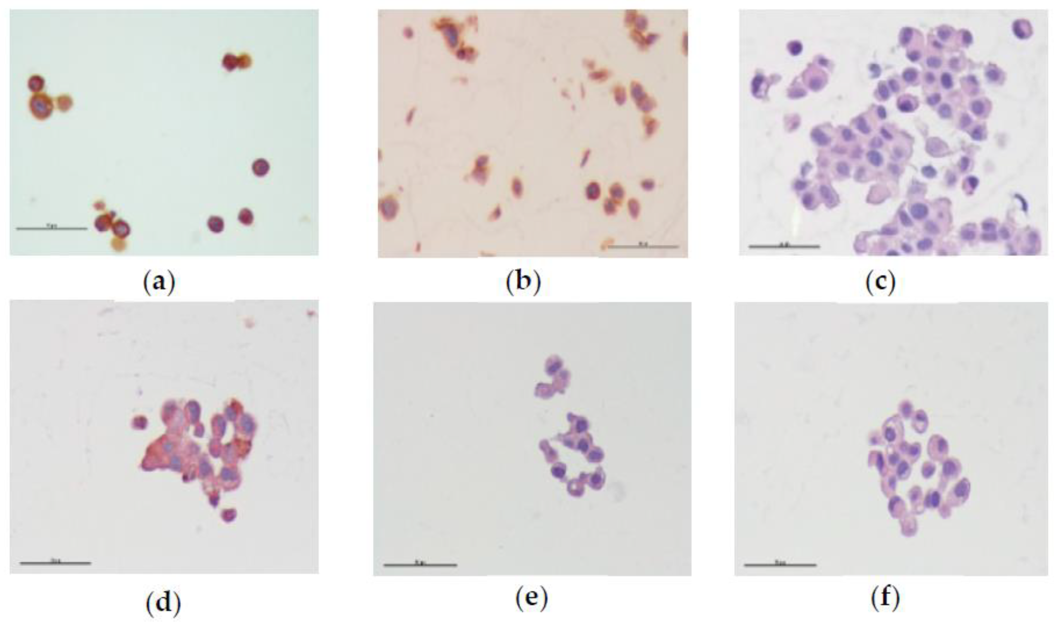 Biomolecules 08 00175 g010a